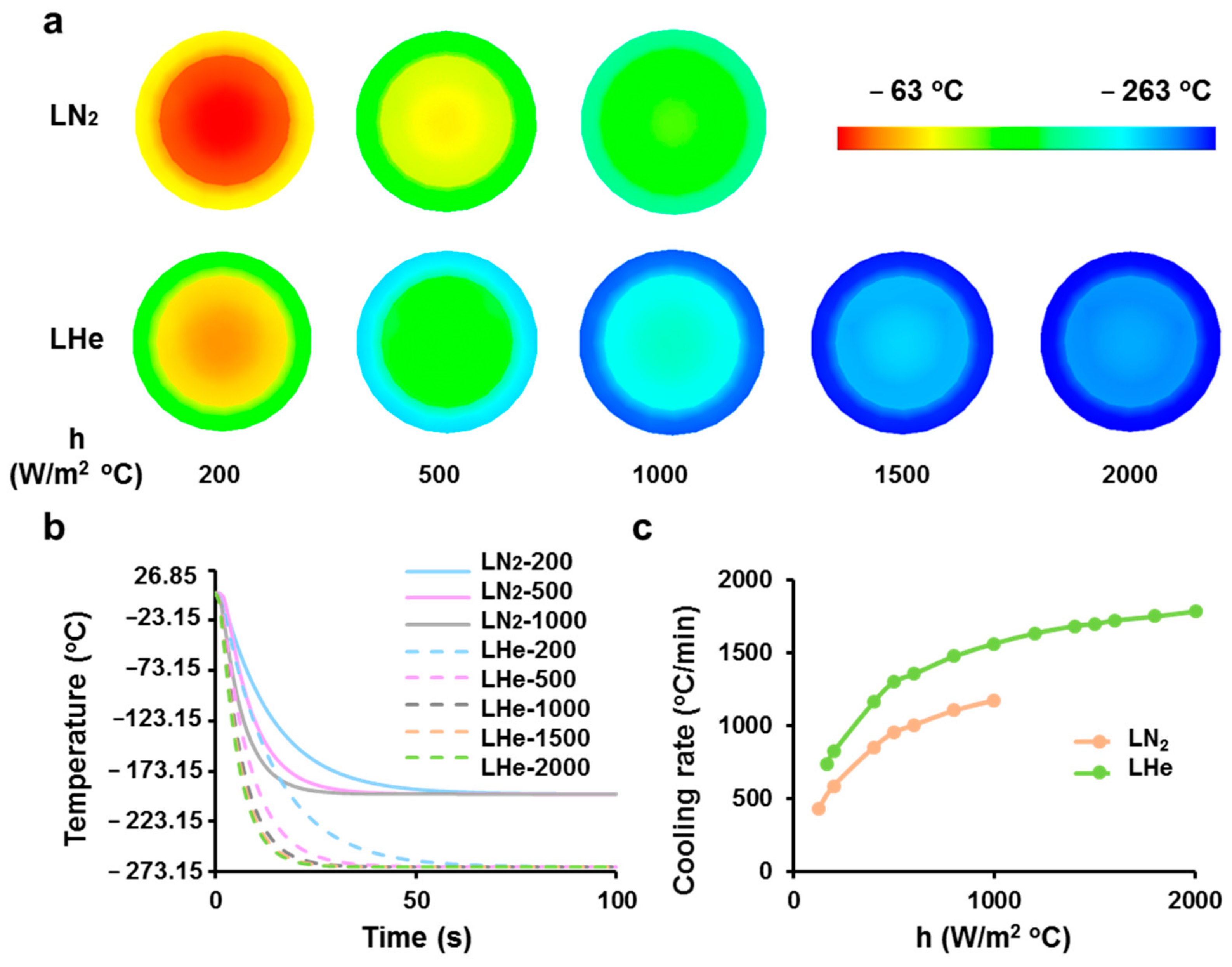 Bioengineering 08 00162 g002