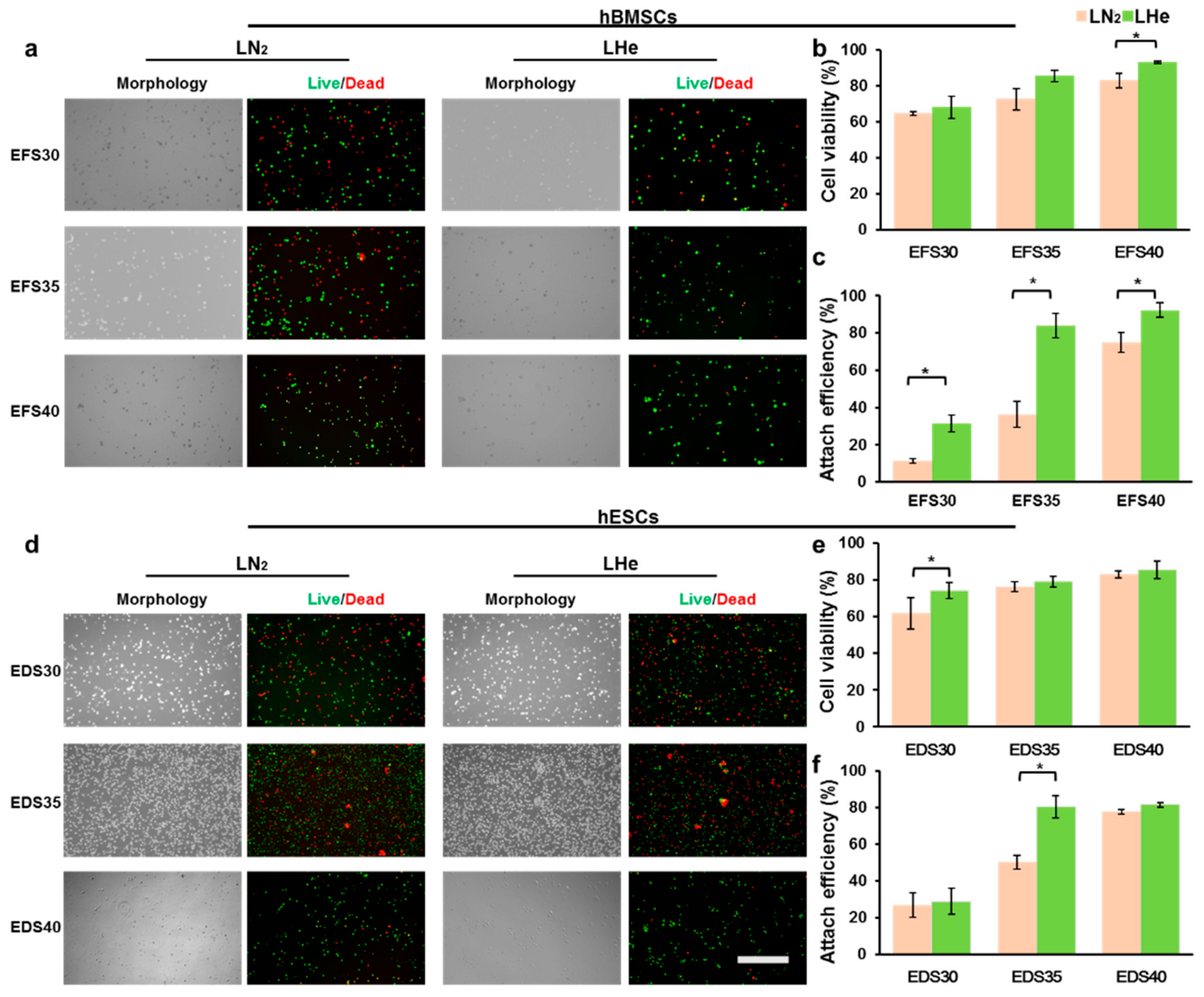 Bioengineering 08 00162 g003