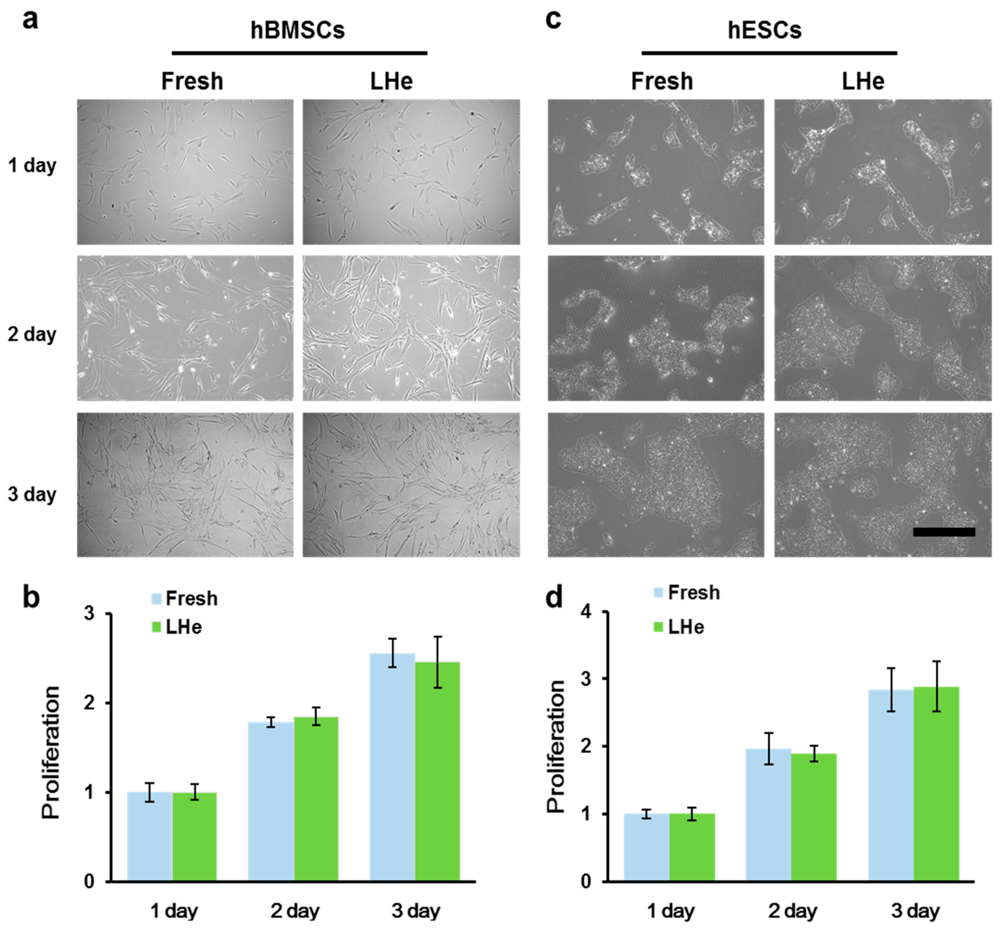 Bioengineering 08 00162 g005