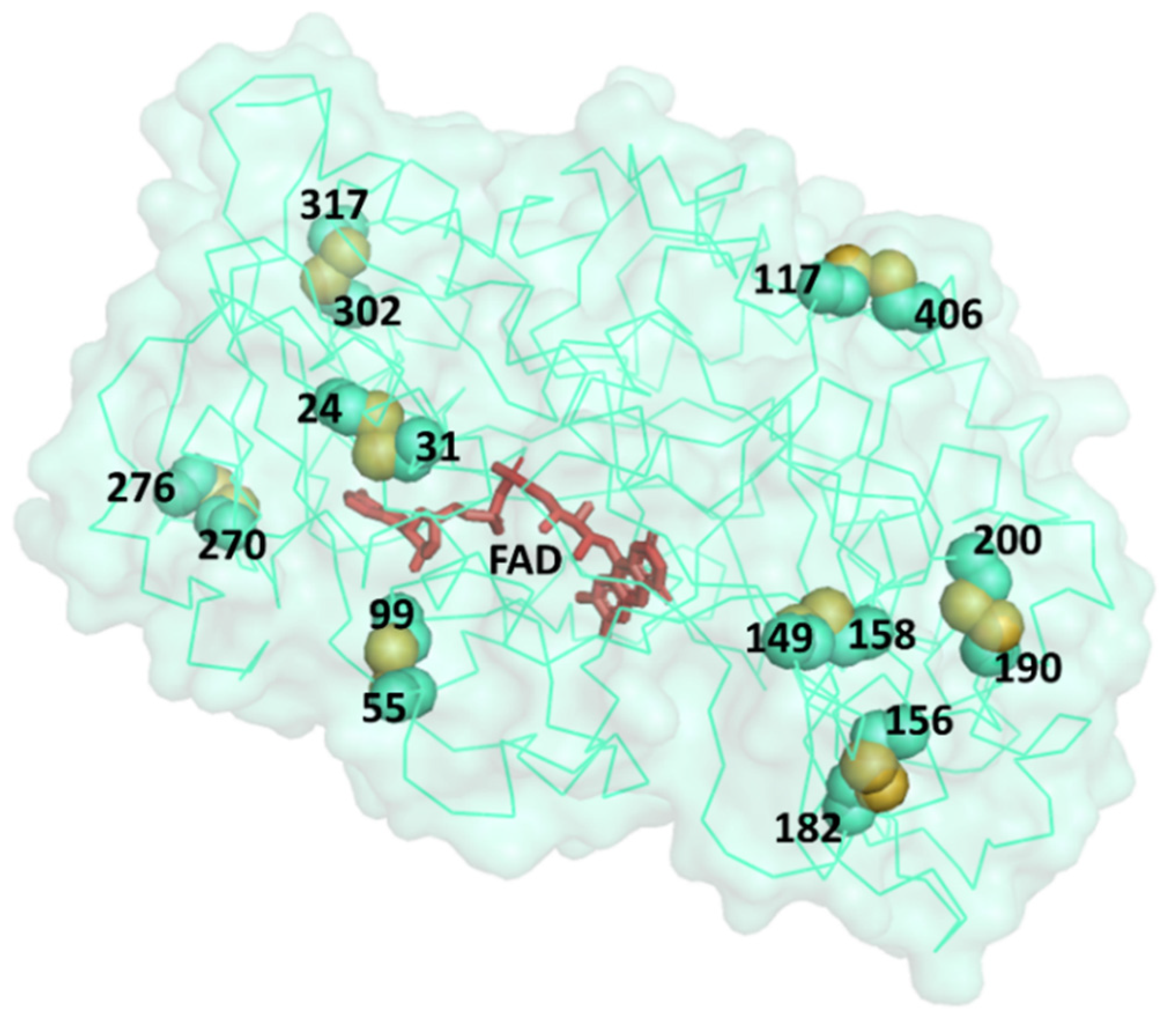 Bioengineering 08 00188 g002