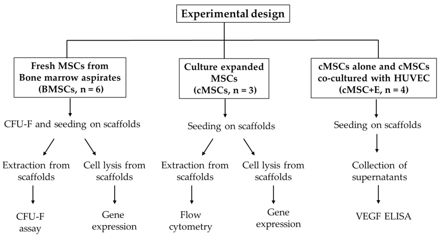 Bioengineering 09 00001 g001
