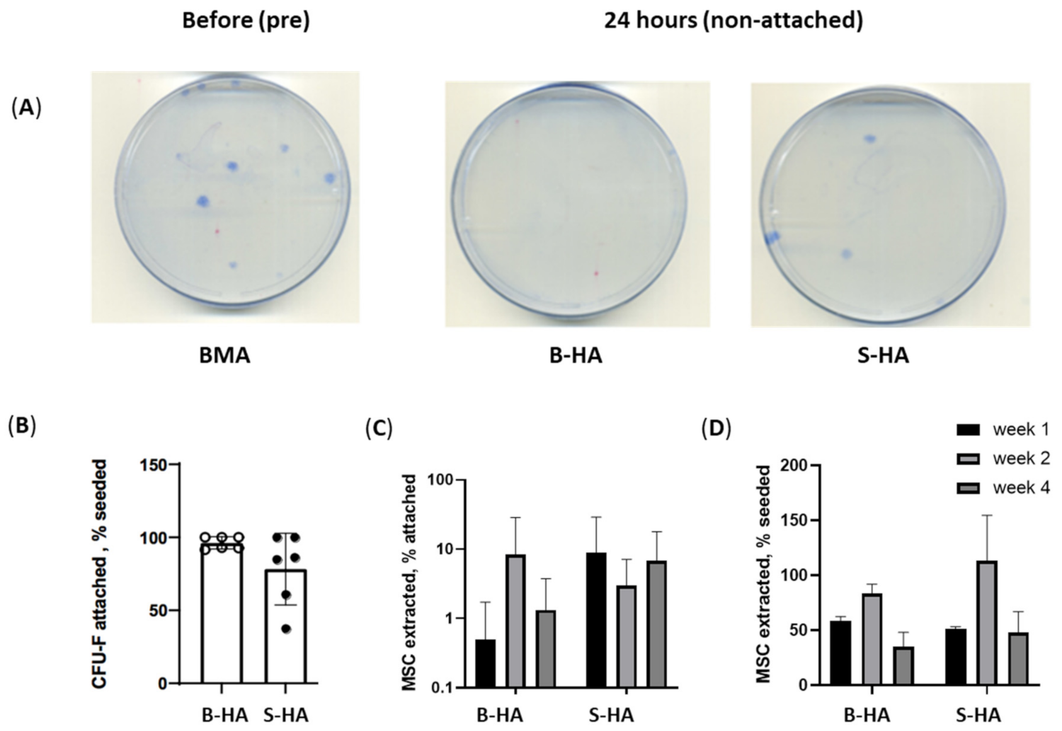 Bioengineering 09 00001 g002