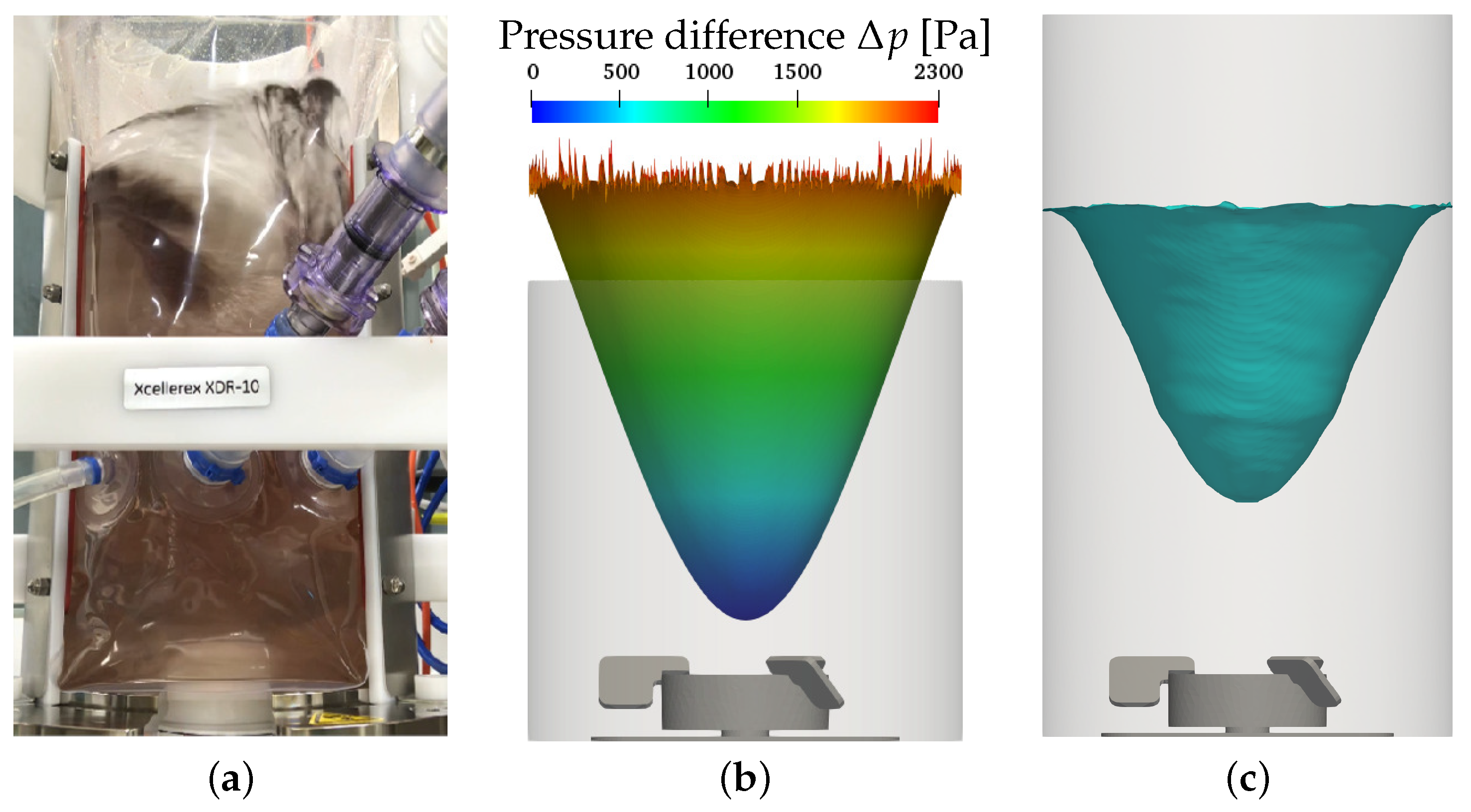 Bioengineering 09 00022 g004