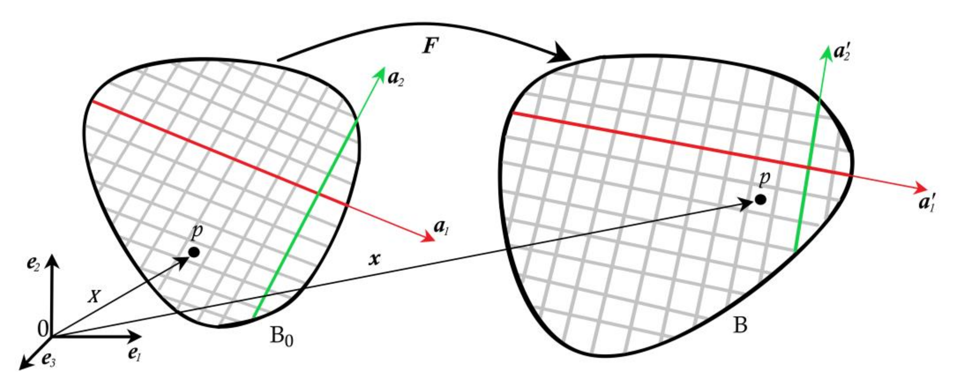 Bioengineering 09 00026 g003 Bioengineering 09 00026 g003