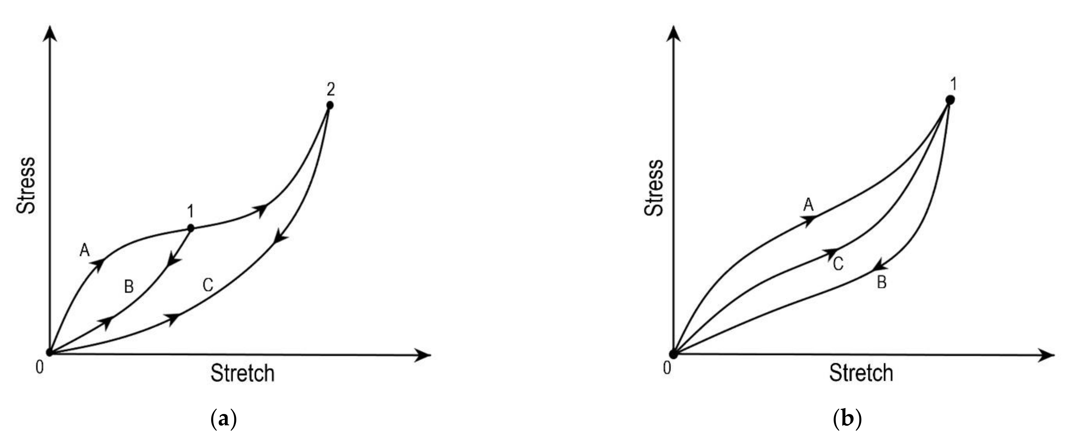 Bioengineering 09 00026 g004 Bioengineering 09 00026 g004