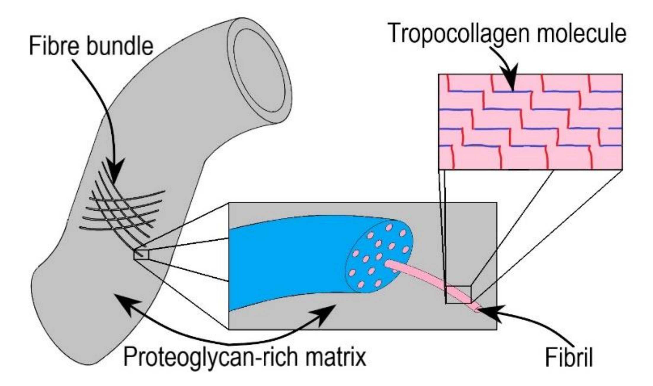 Bioengineering 09 00026 g005 Bioengineering 09 00026 g005