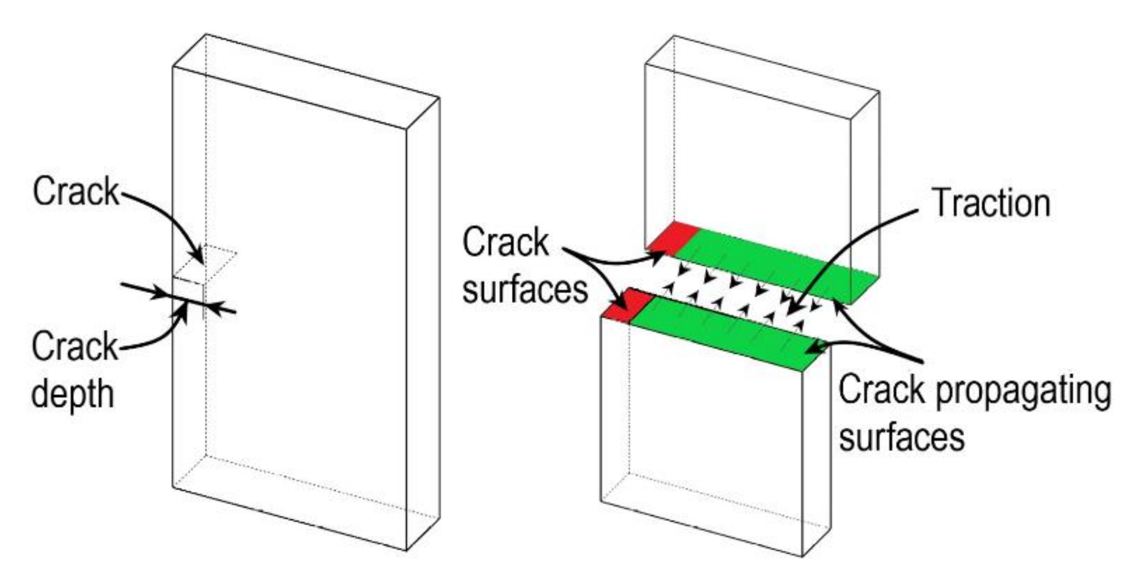 Bioengineering 09 00026 g007 Bioengineering 09 00026 g007