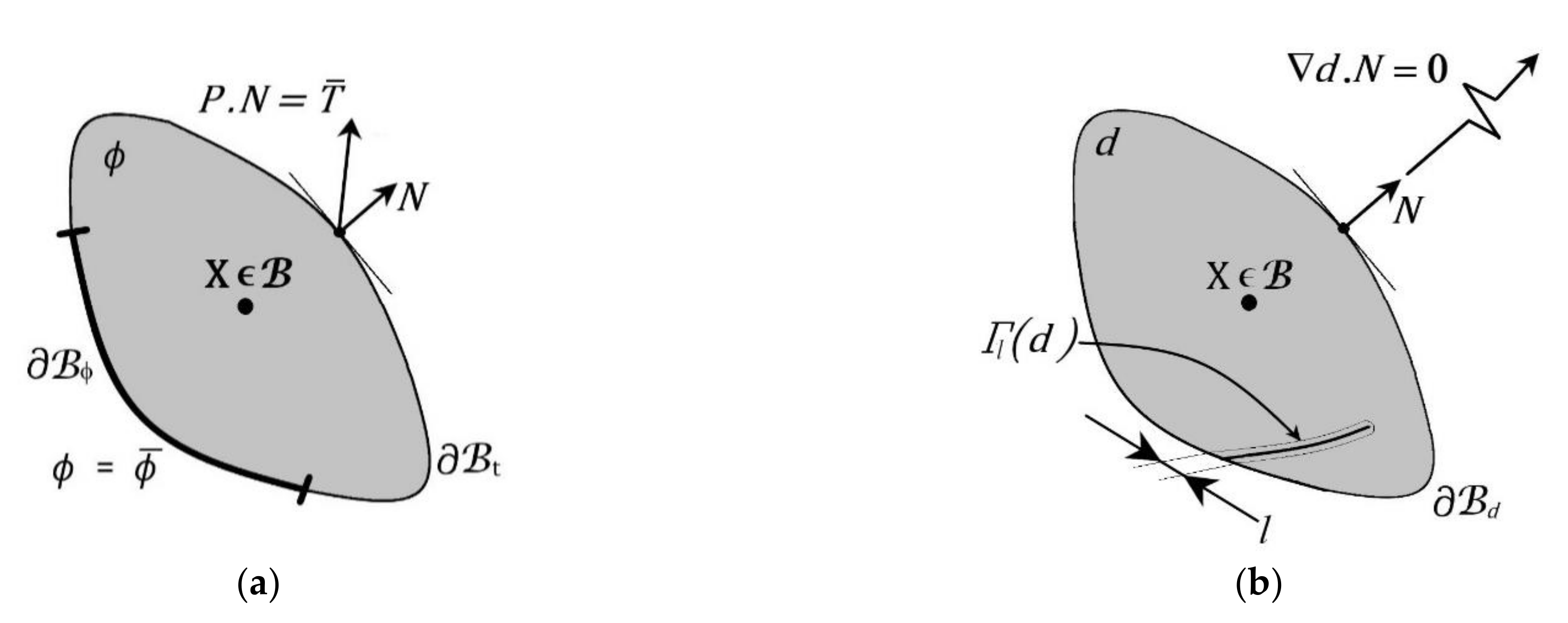 Bioengineering 09 00026 g008 Bioengineering 09 00026 g008