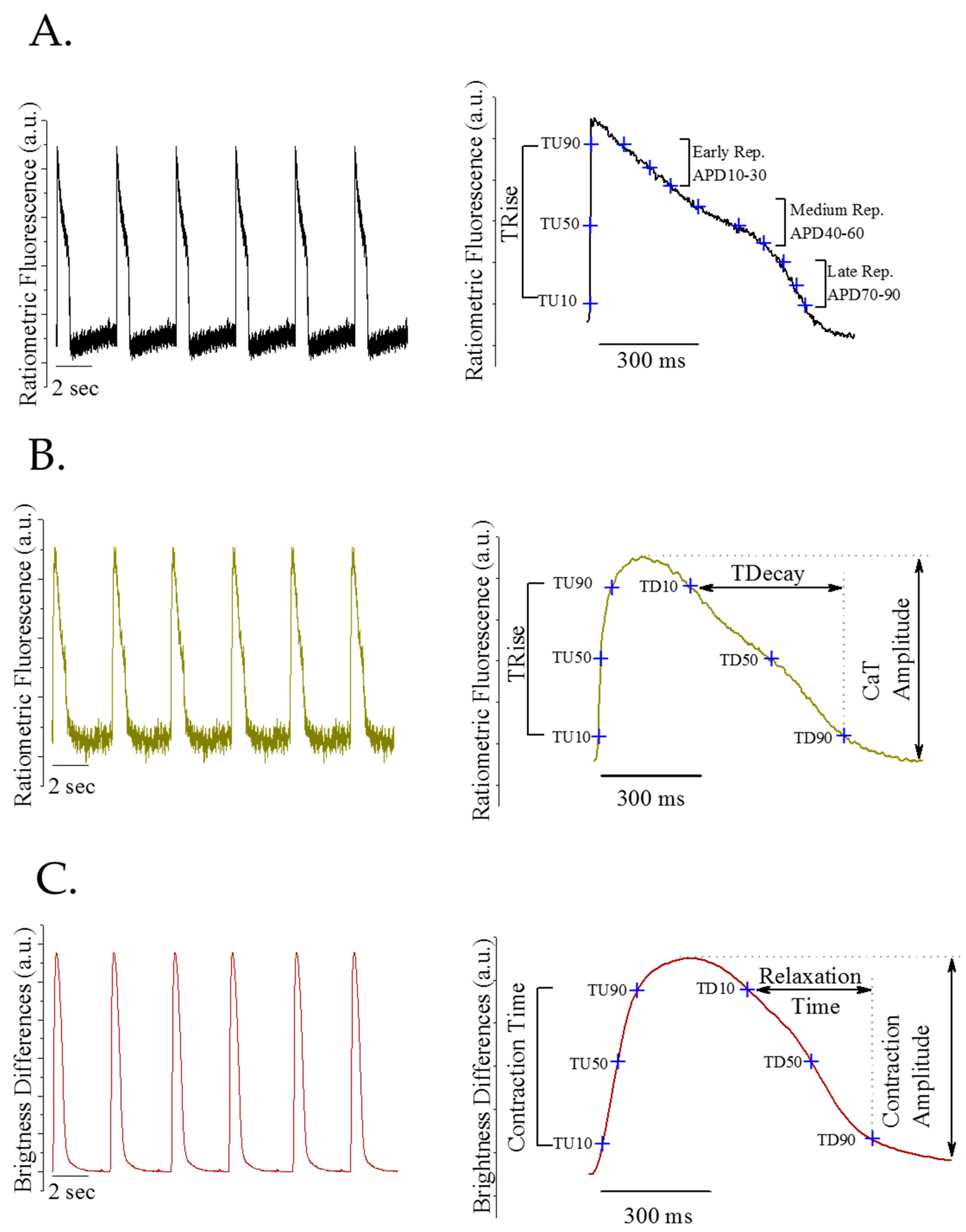 Bioengineering 09 00032 g003