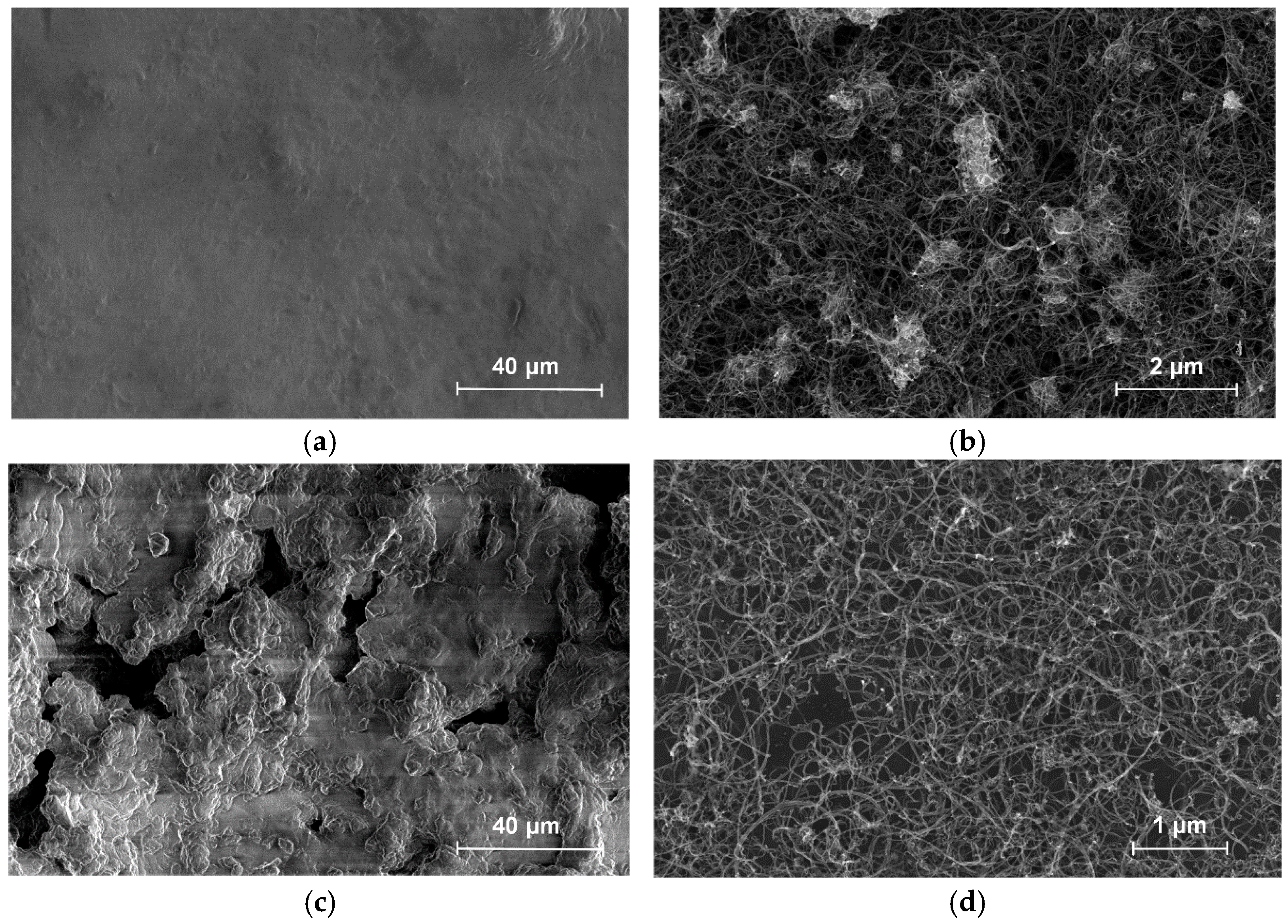 Bioengineering 09 00036 g005