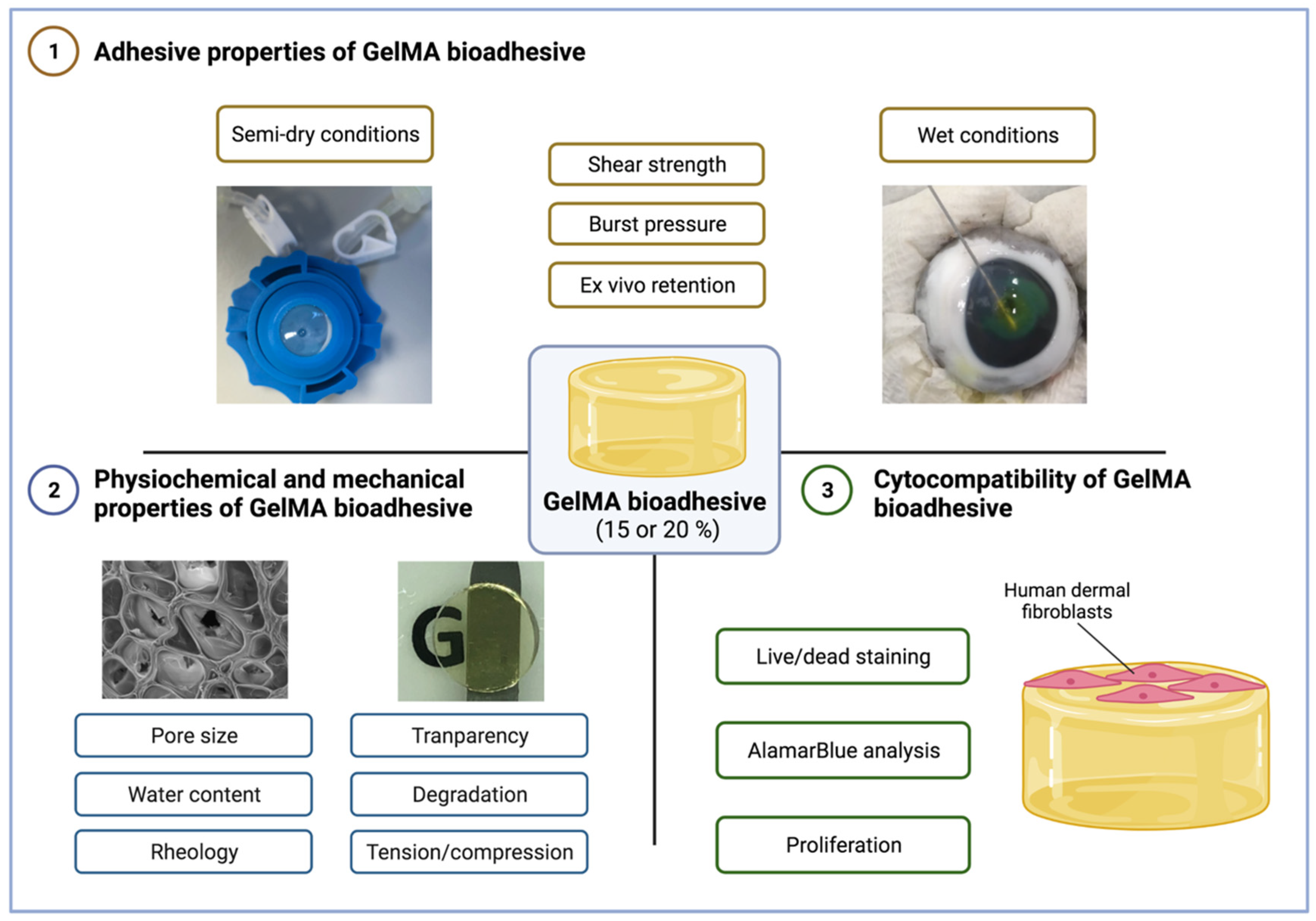 Bioengineering 09 00053 g001