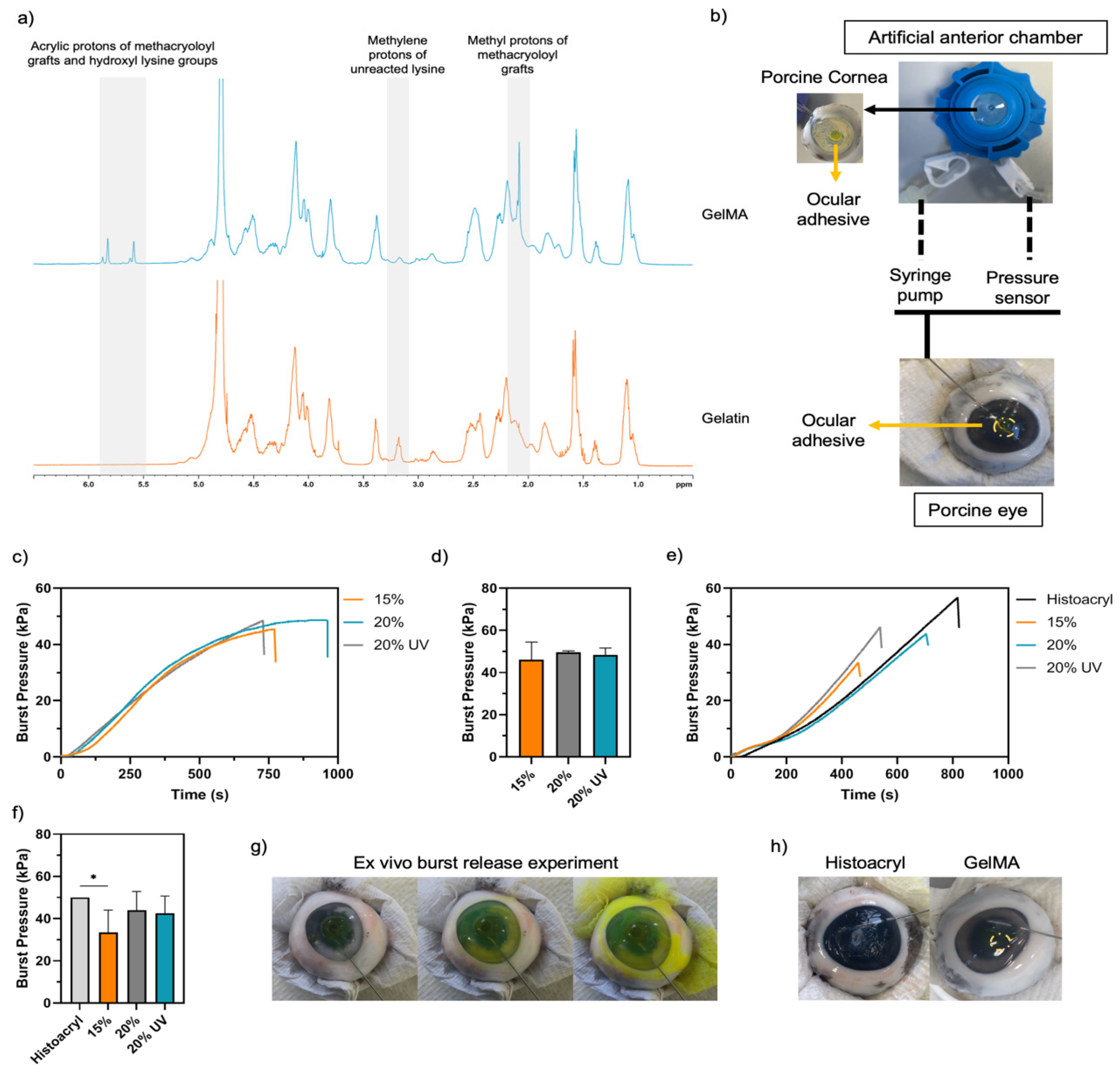 Bioengineering 09 00053 g002