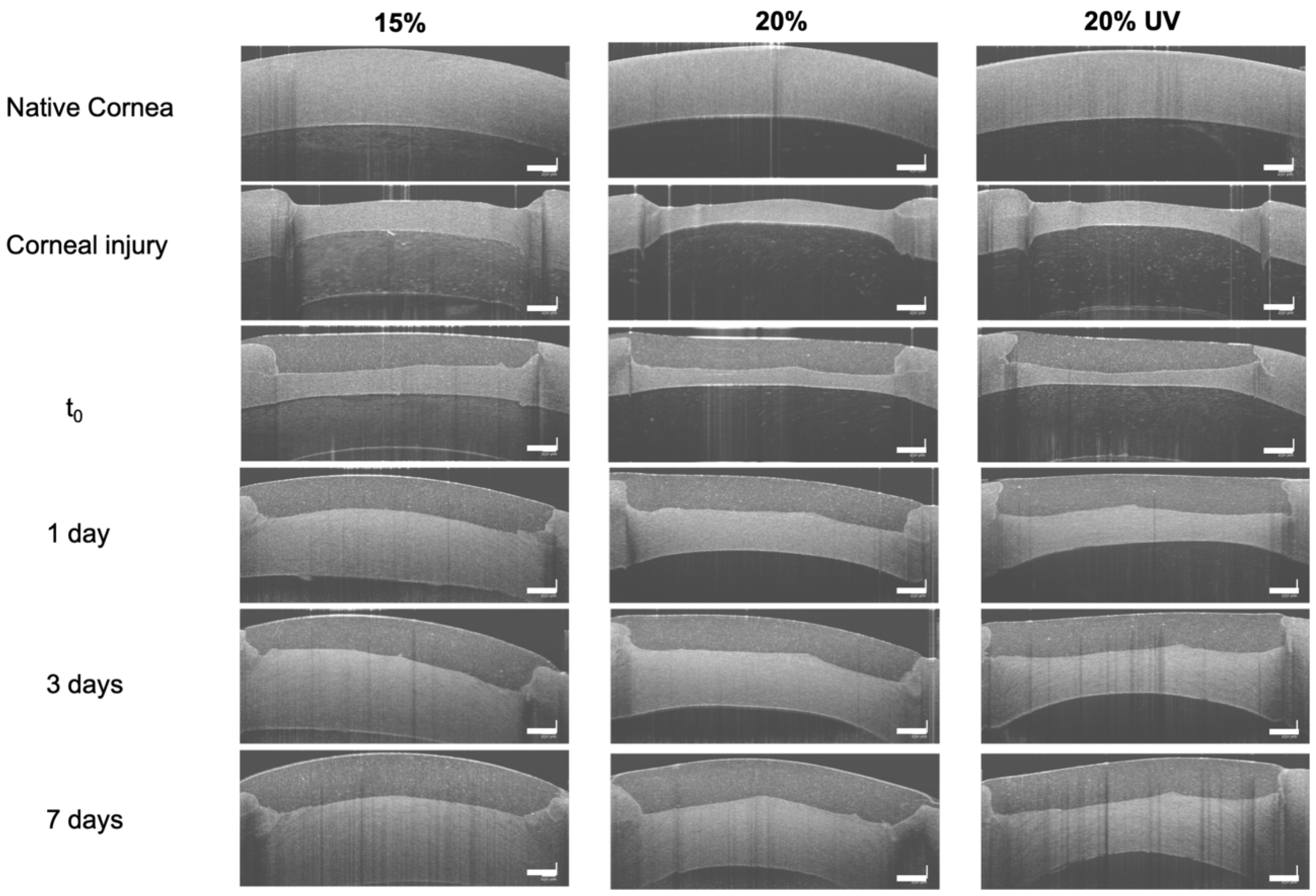 Bioengineering 09 00053 g007