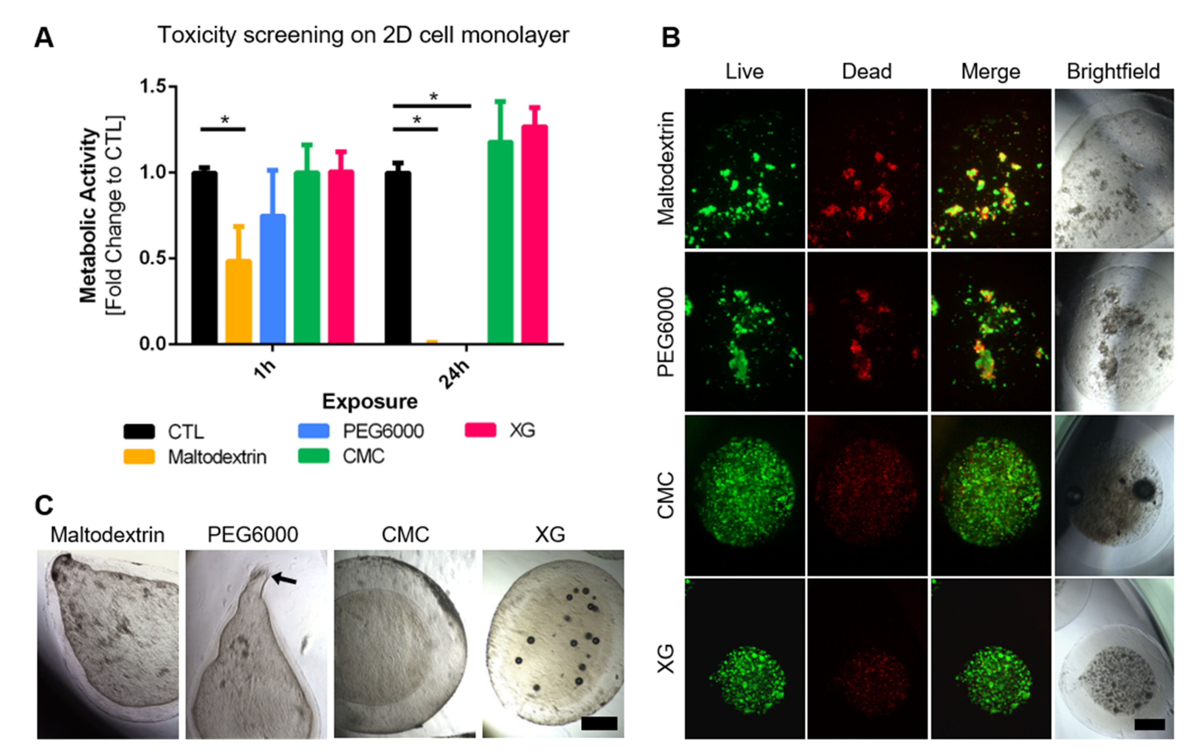 Bioengineering 09 00066 g001