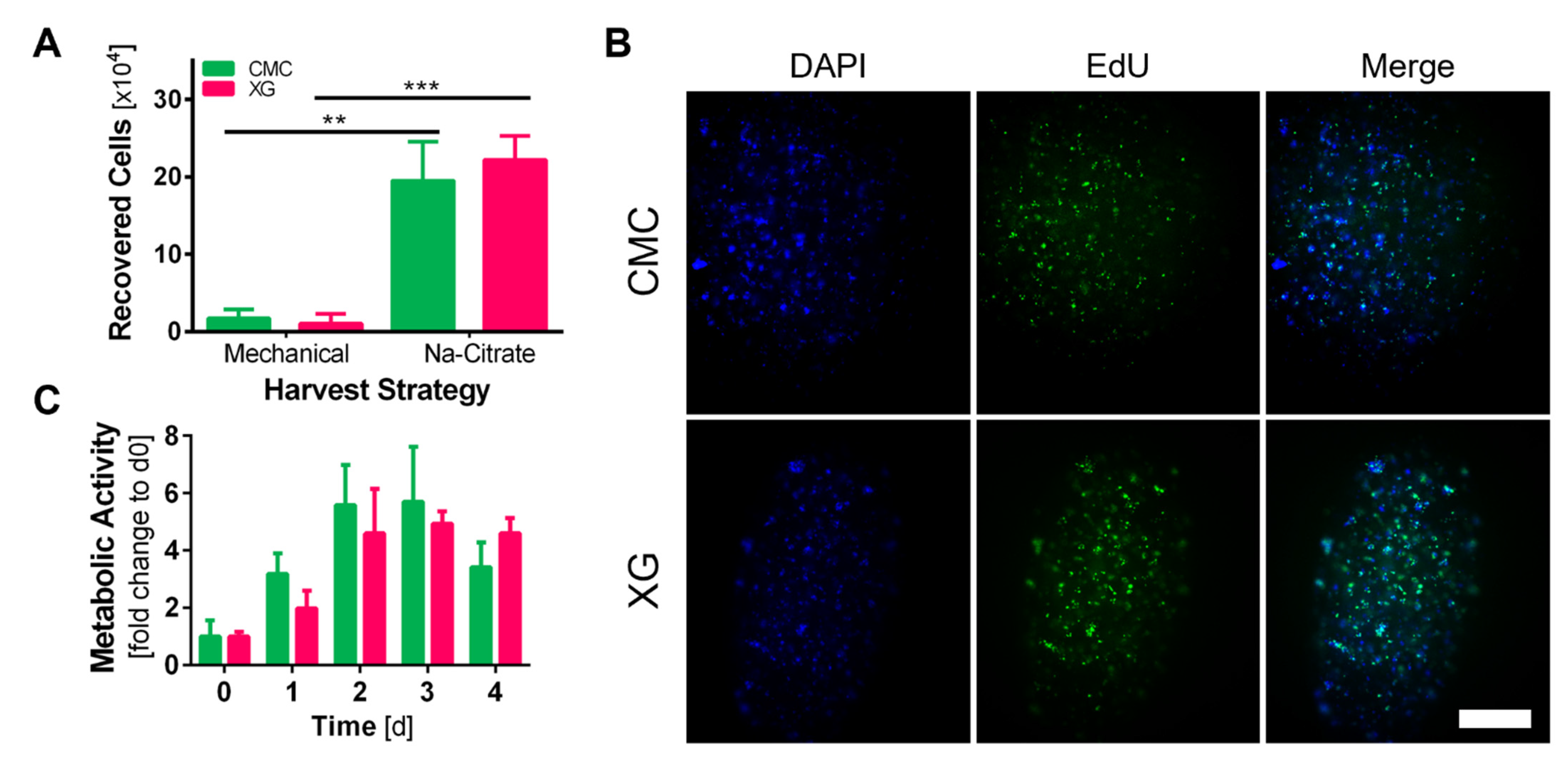 Bioengineering 09 00066 g006