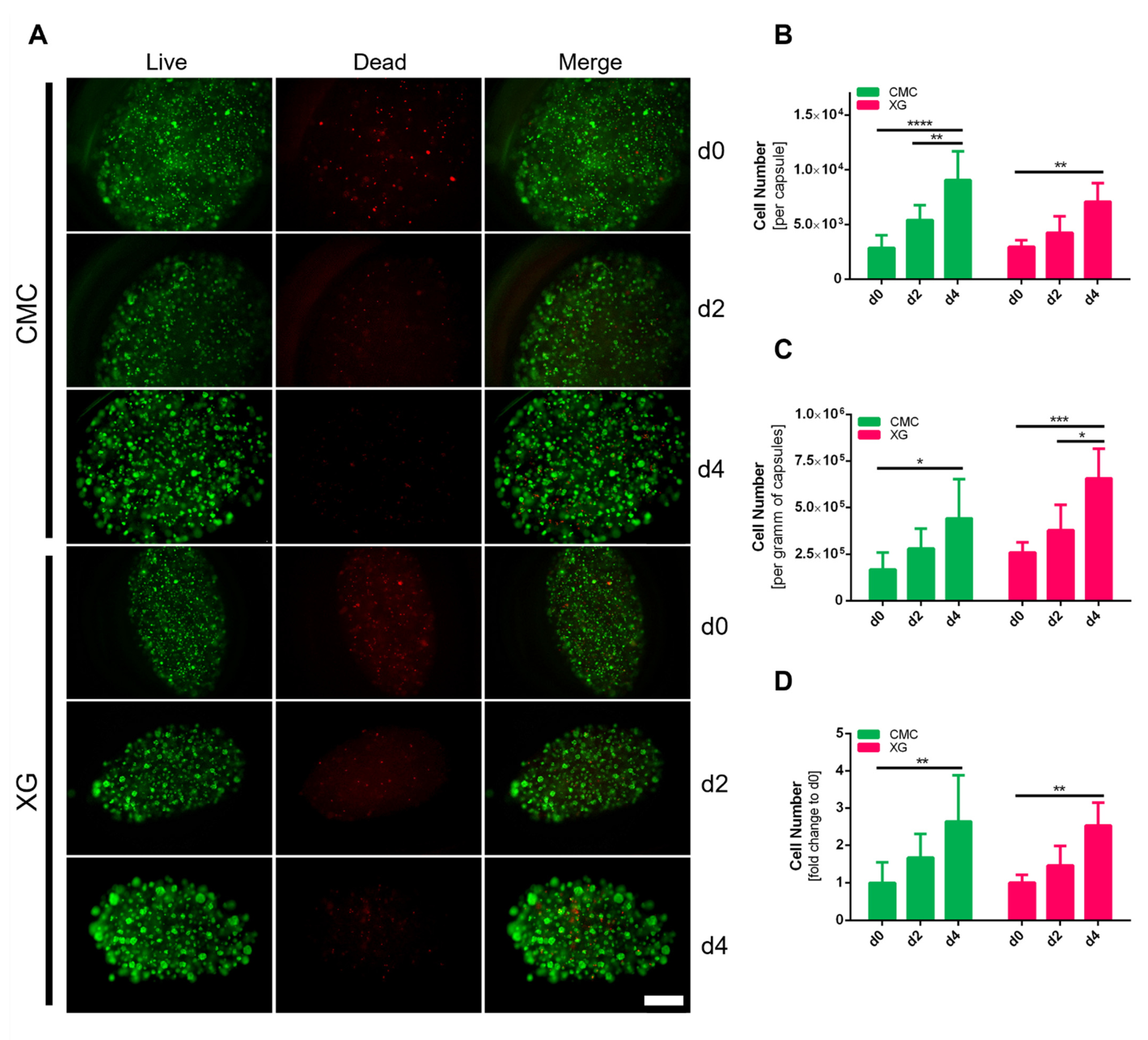 Bioengineering 09 00066 g007