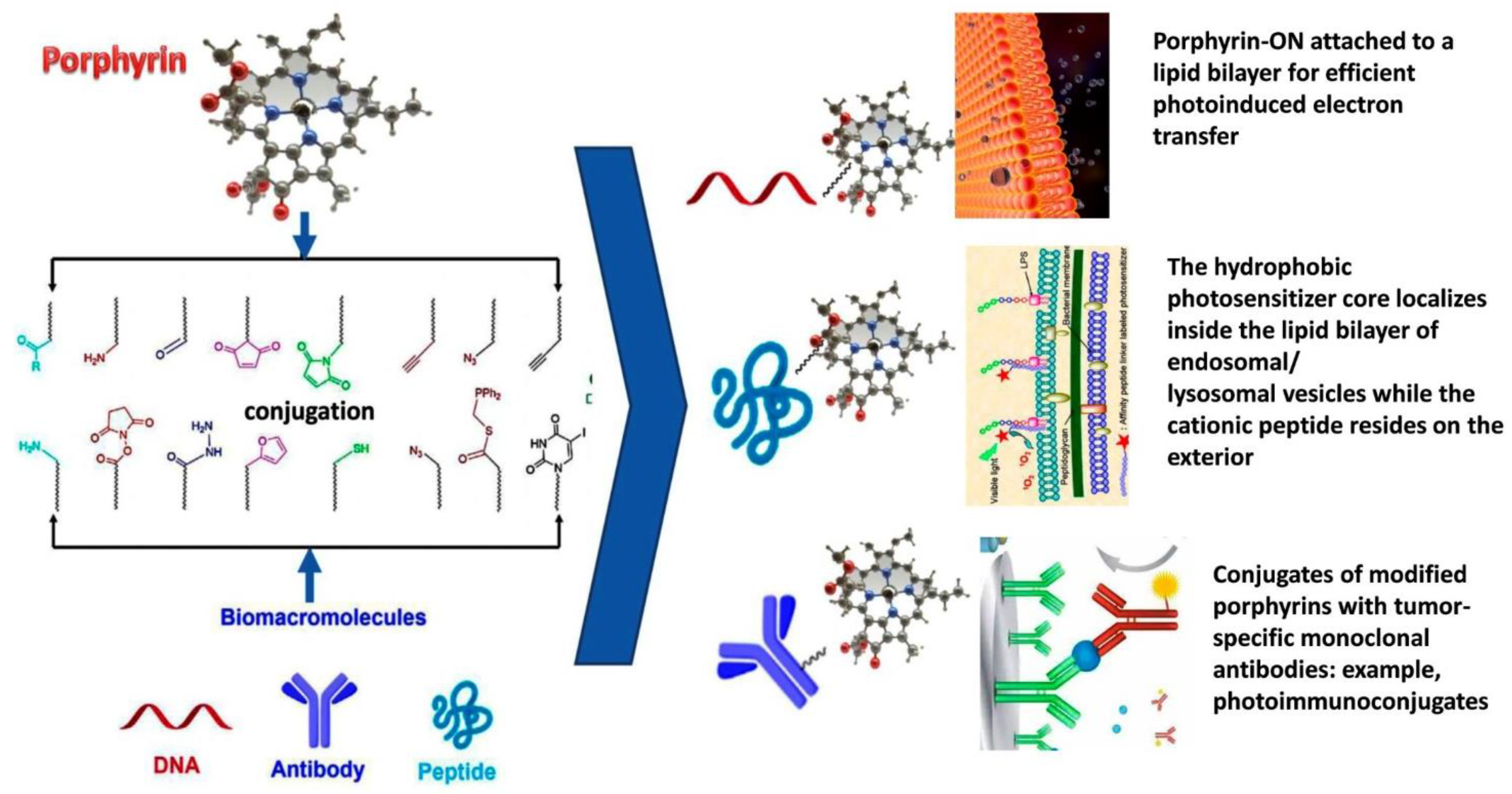 Bioengineering 09 00082 g002