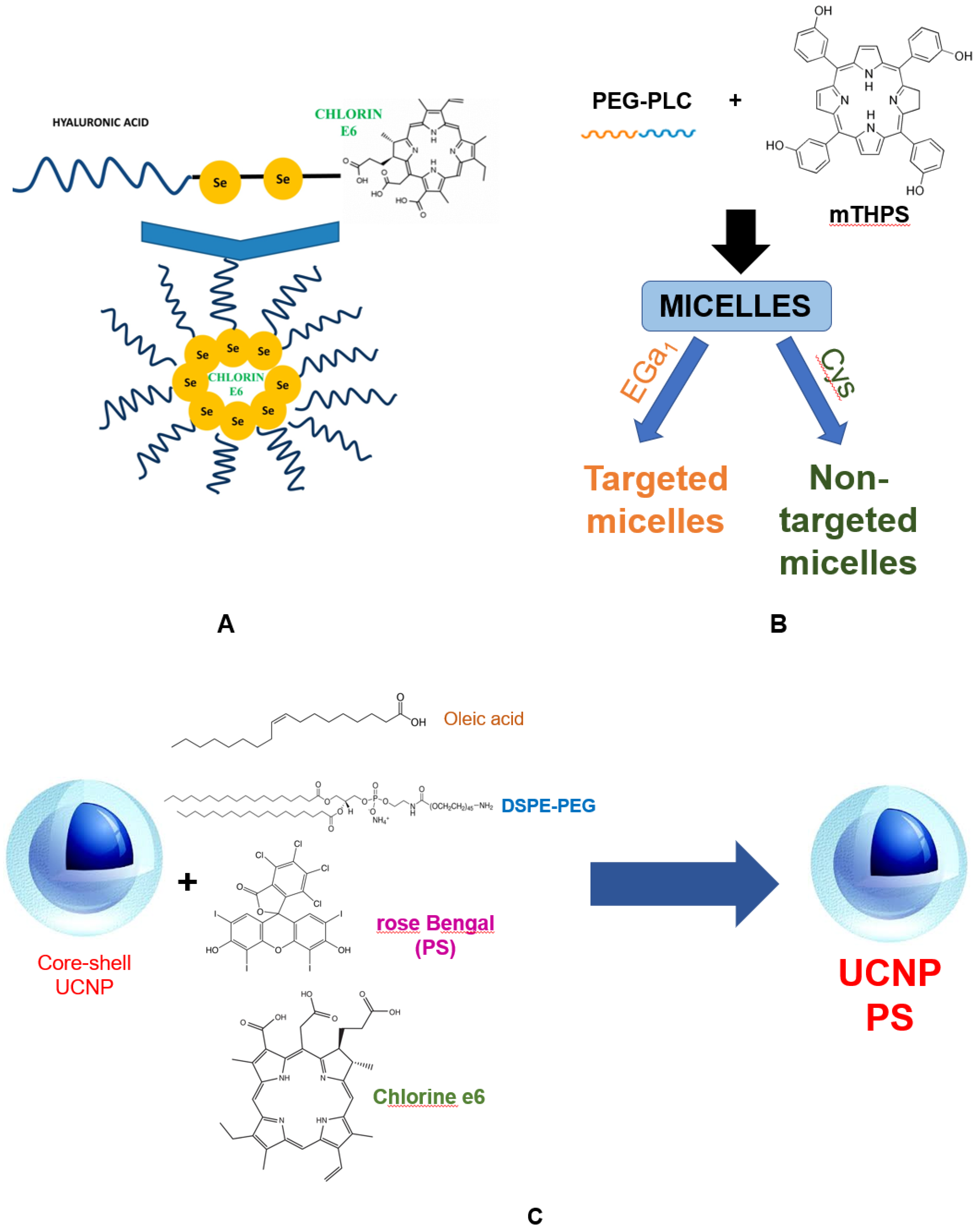 Bioengineering 09 00082 g003