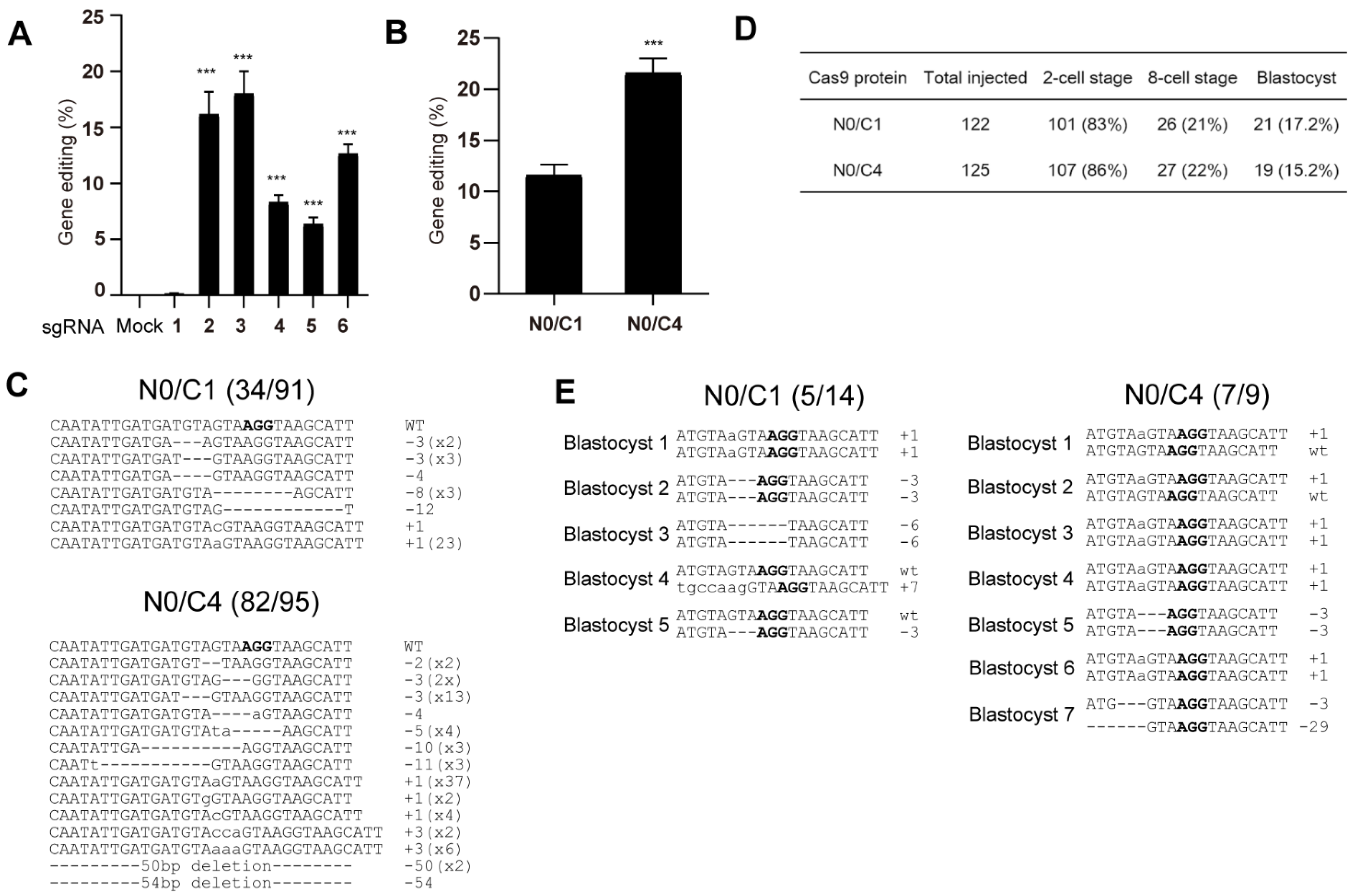 Bioengineering 09 00083 g006