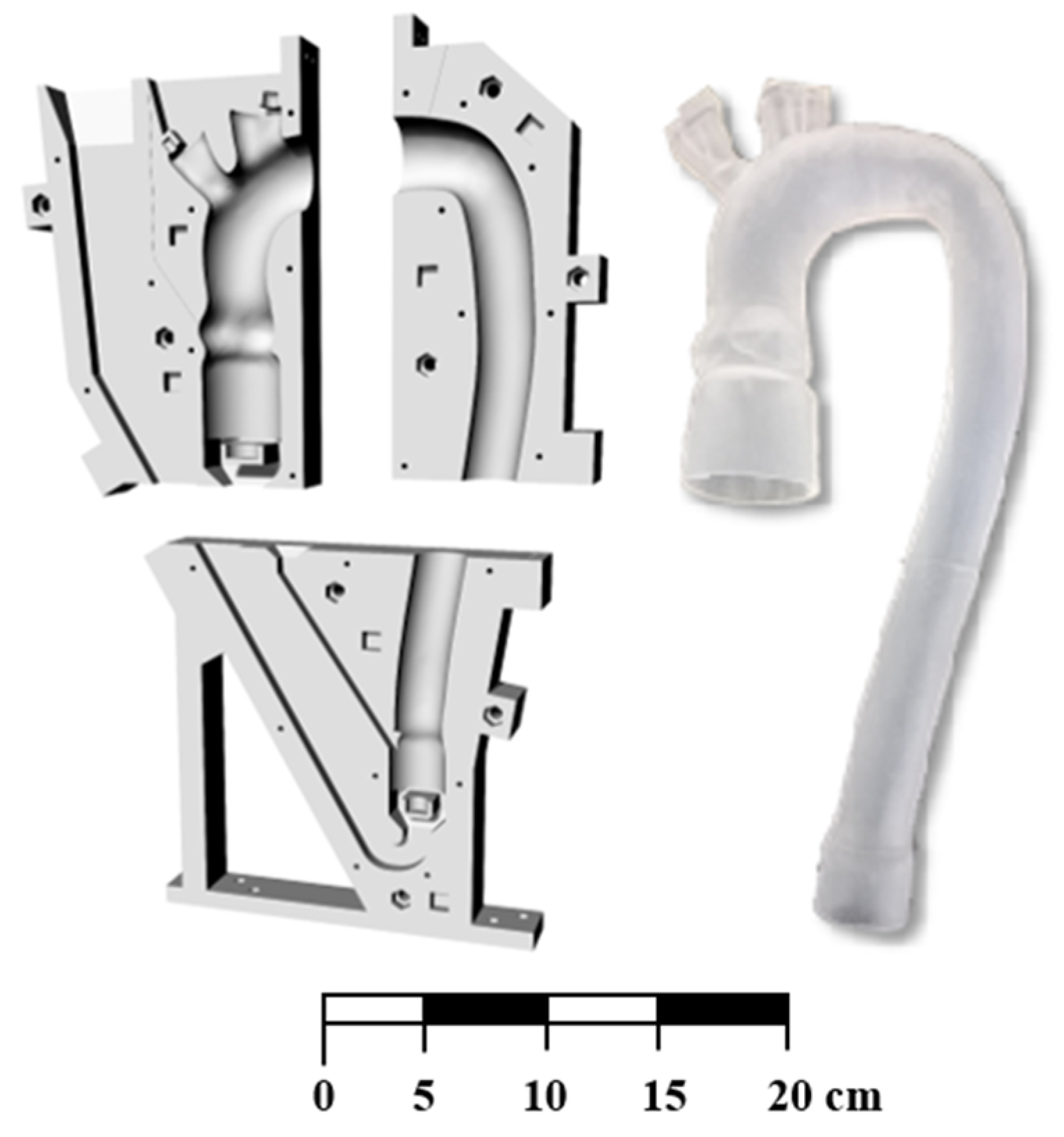 Bioengineering 09 00094 g001