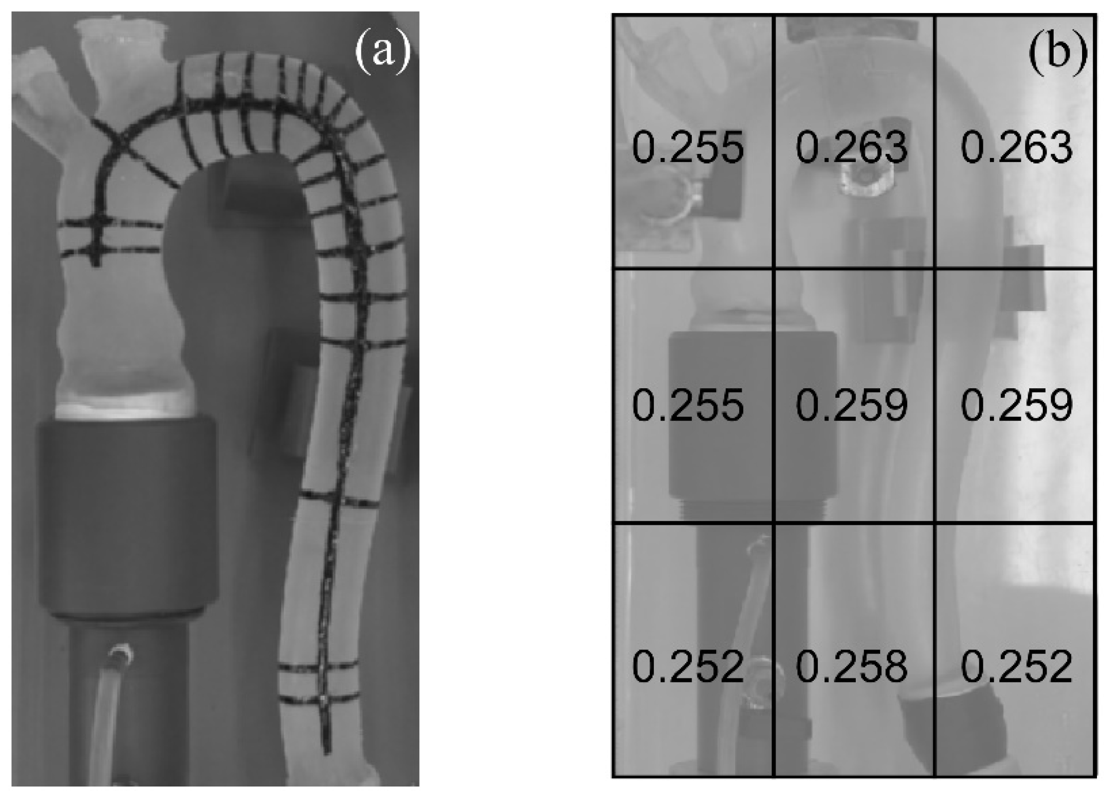 Bioengineering 09 00094 g003
