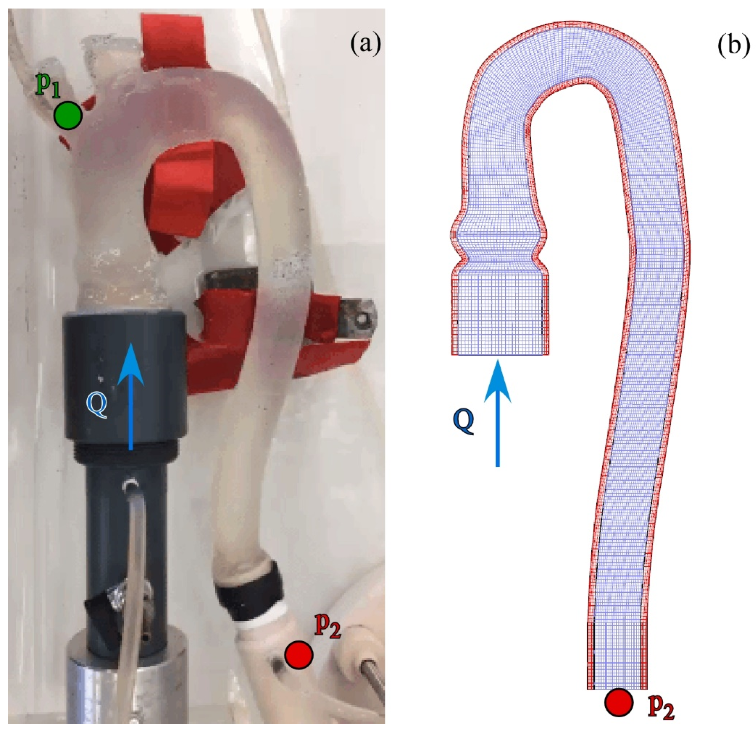 Bioengineering 09 00094 g004