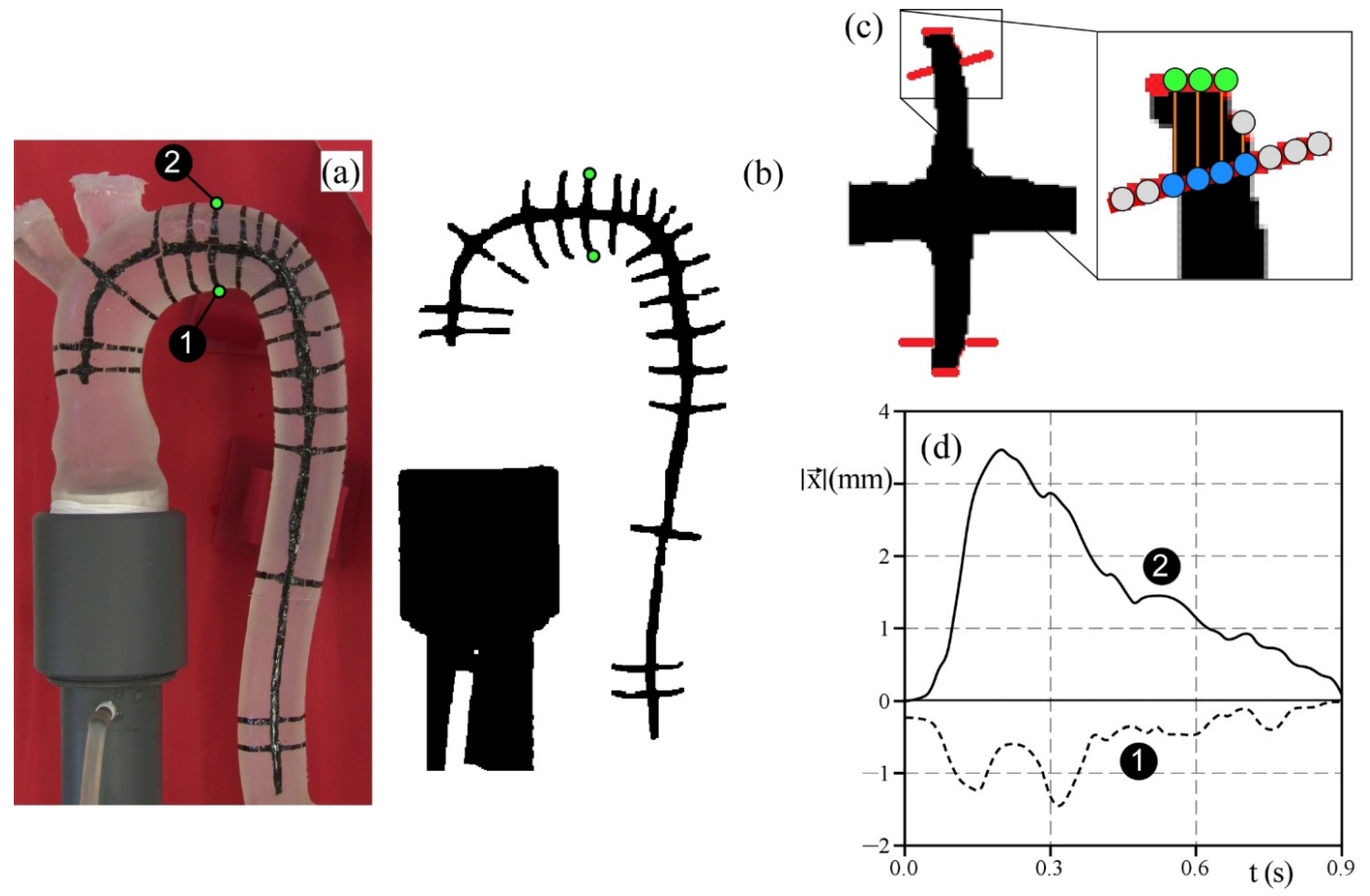 Bioengineering 09 00094 g0a1