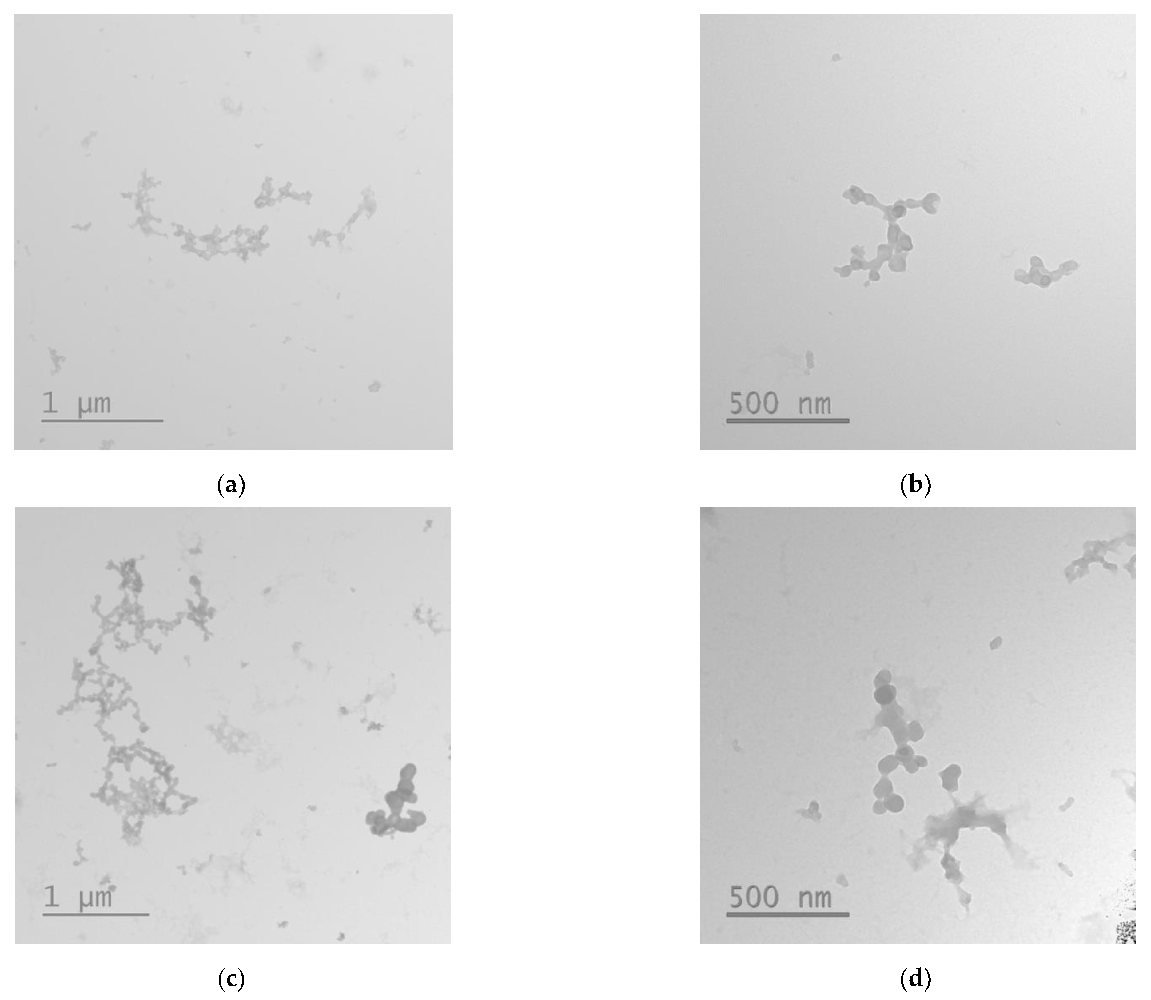 Bioengineering 09 00112 g004