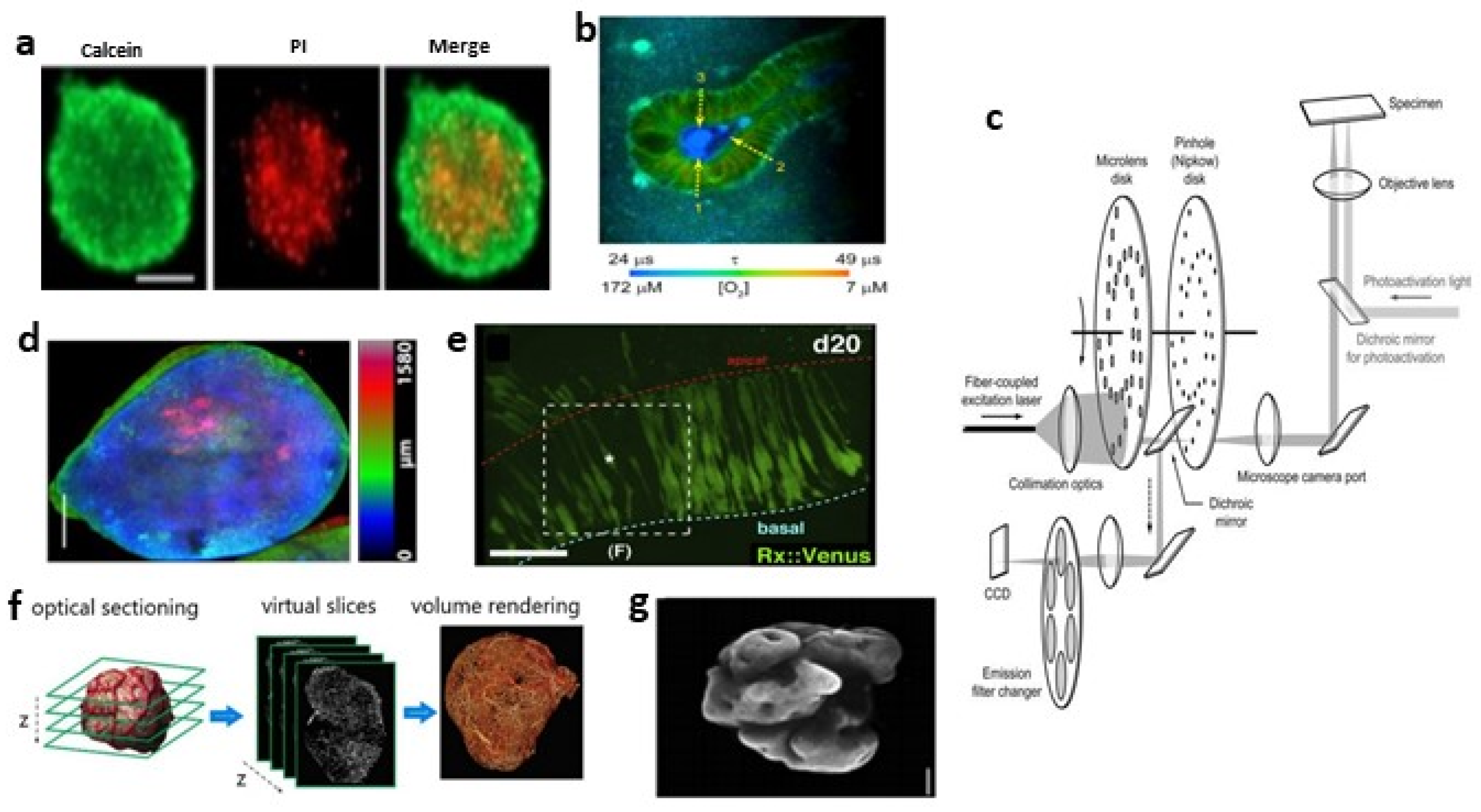 Bioengineering 09 00121 g002