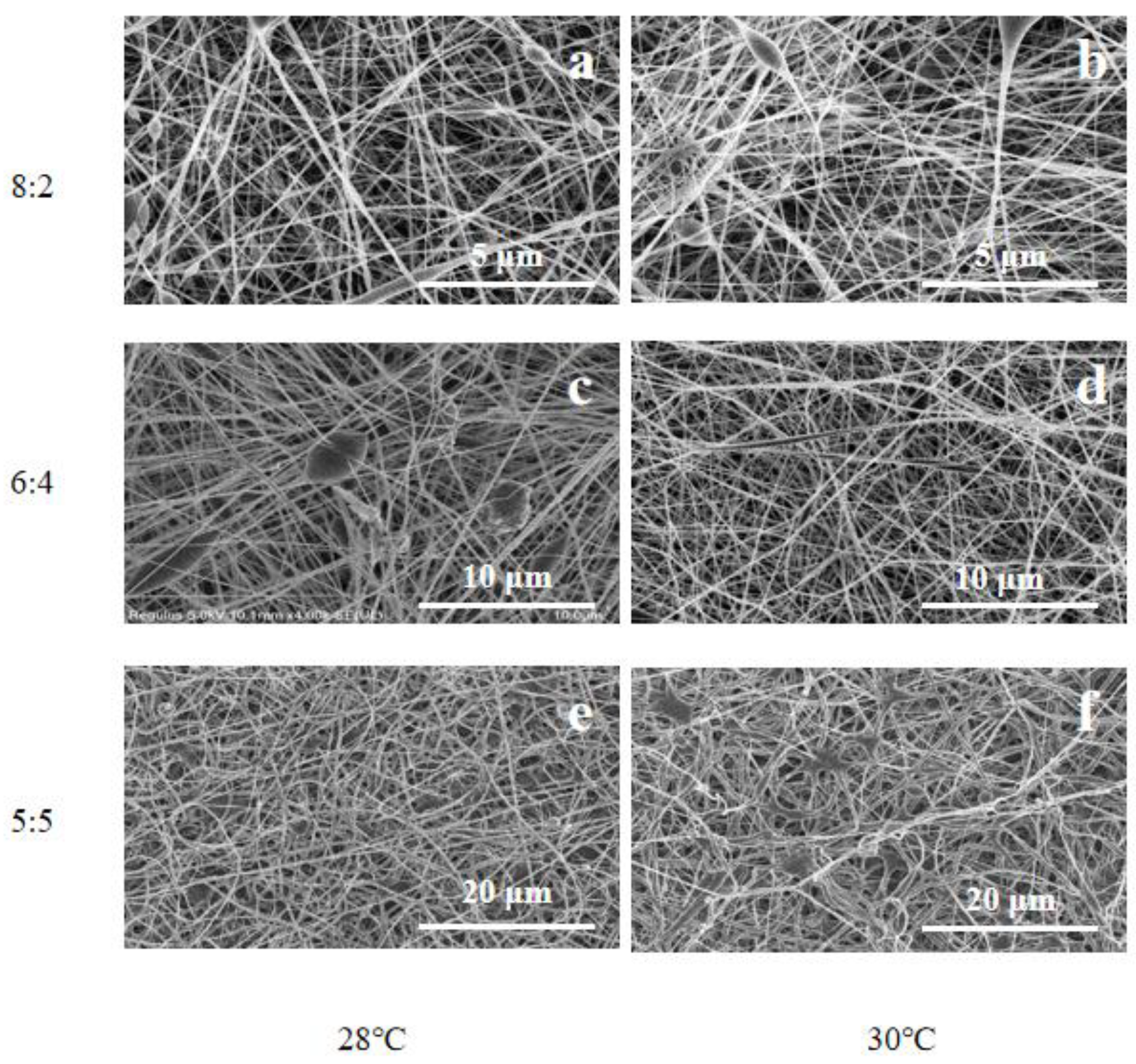 Bioengineering 09 00130 g001