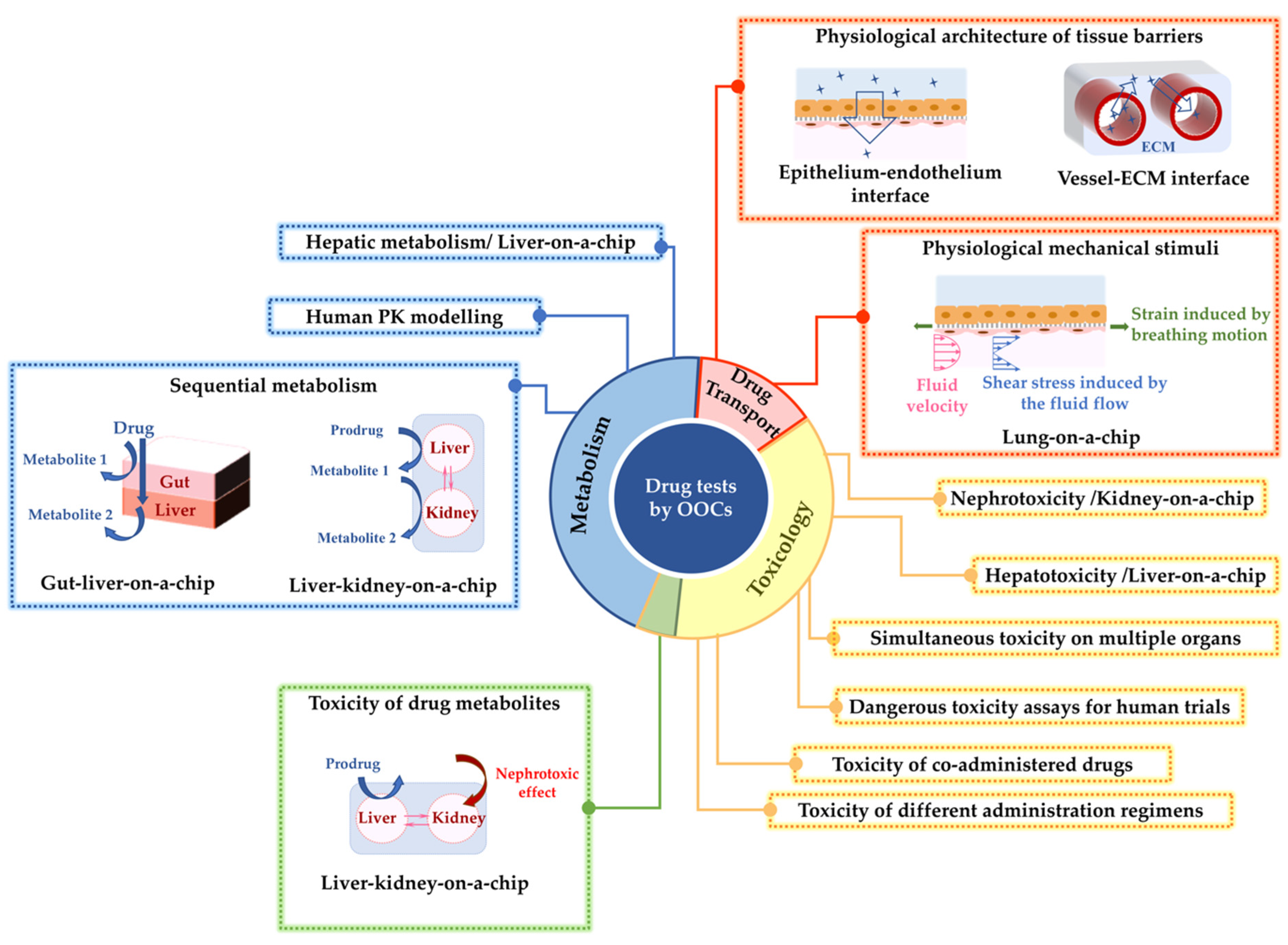 Bioengineering 09 00150 g001