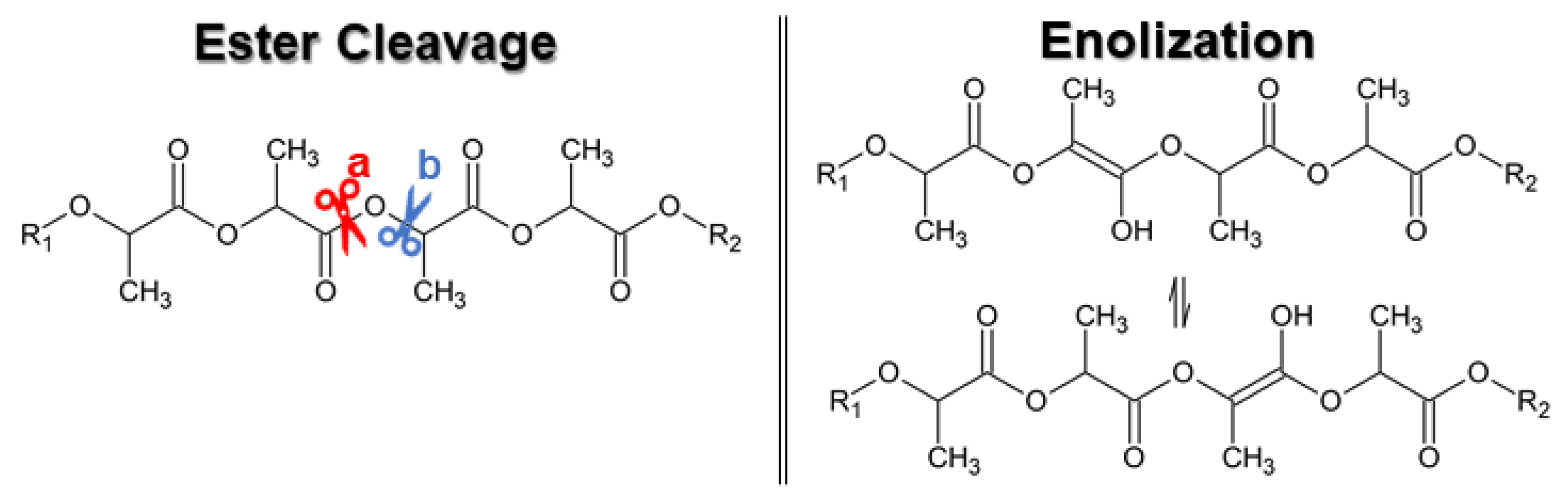 Bioengineering 09 00164 g005