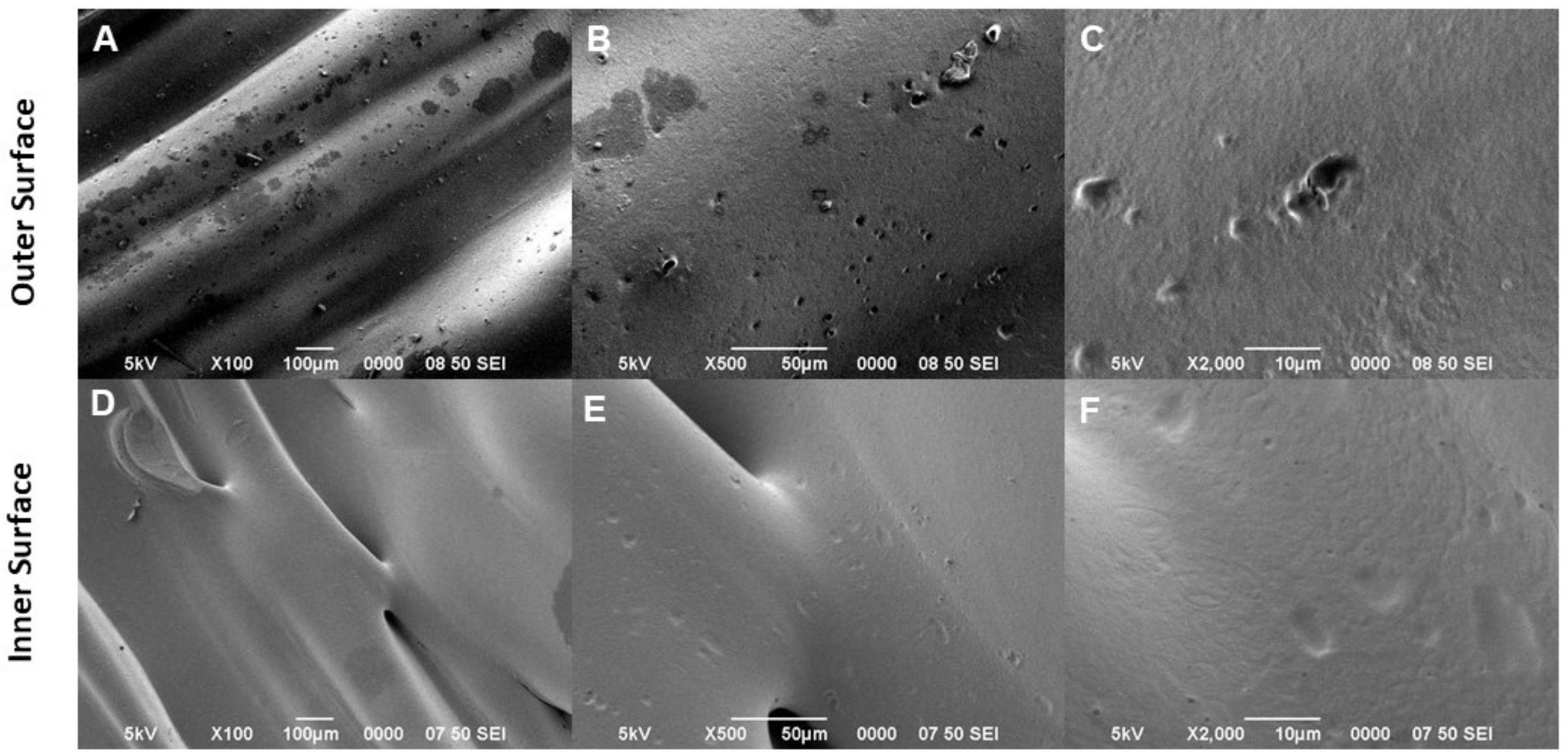 Bioengineering 09 00189 g002