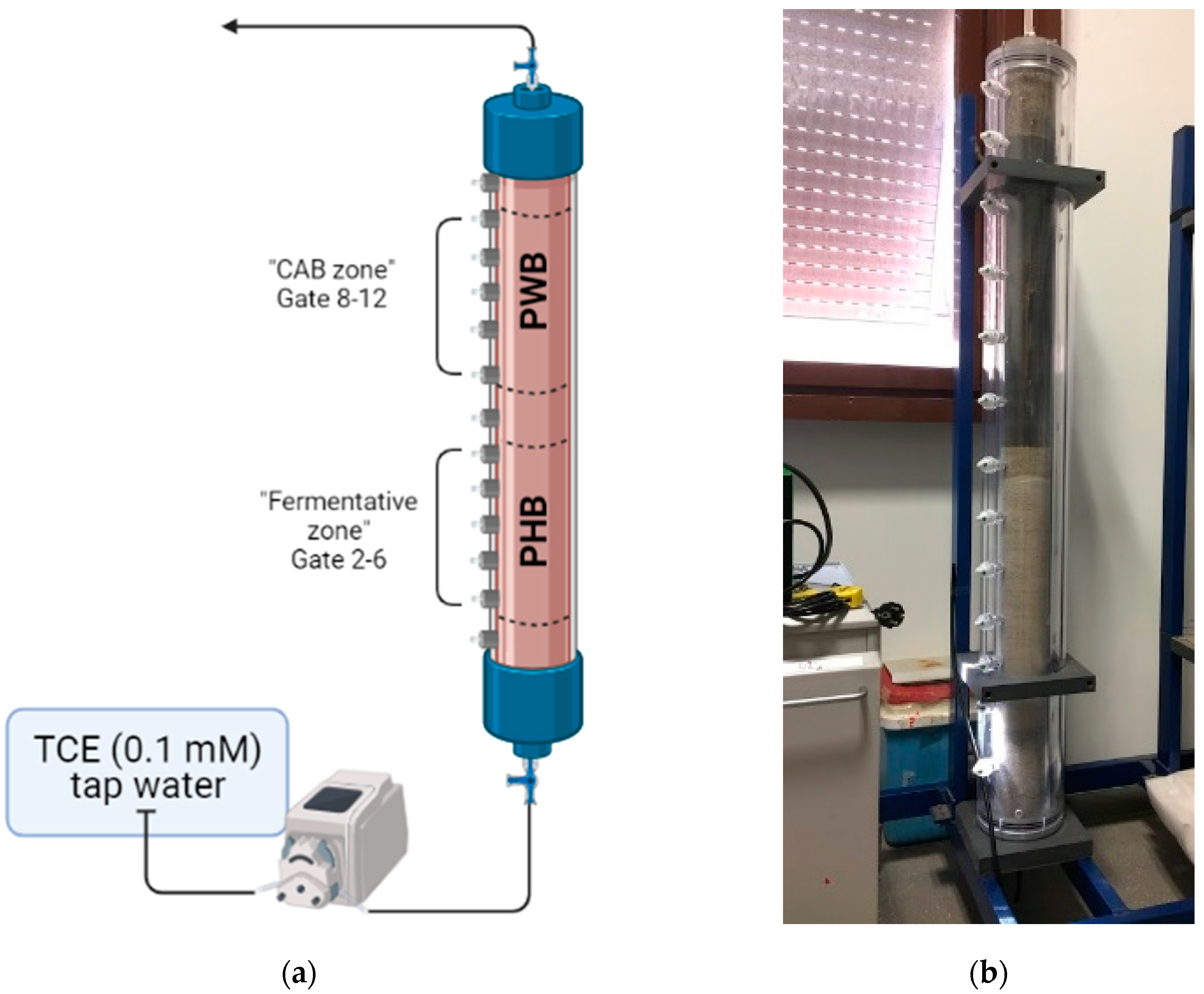 Bioengineering 09 00192 g003 Bioengineering 09 00192 g003