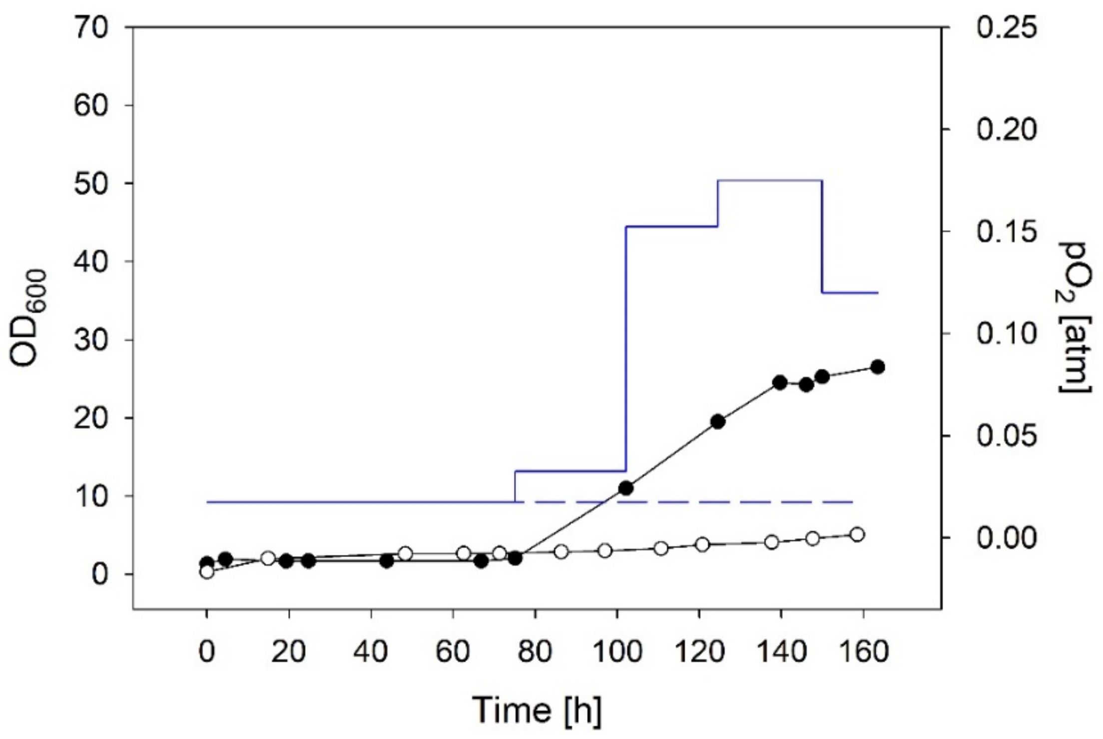 Bioengineering 09 00204 g006