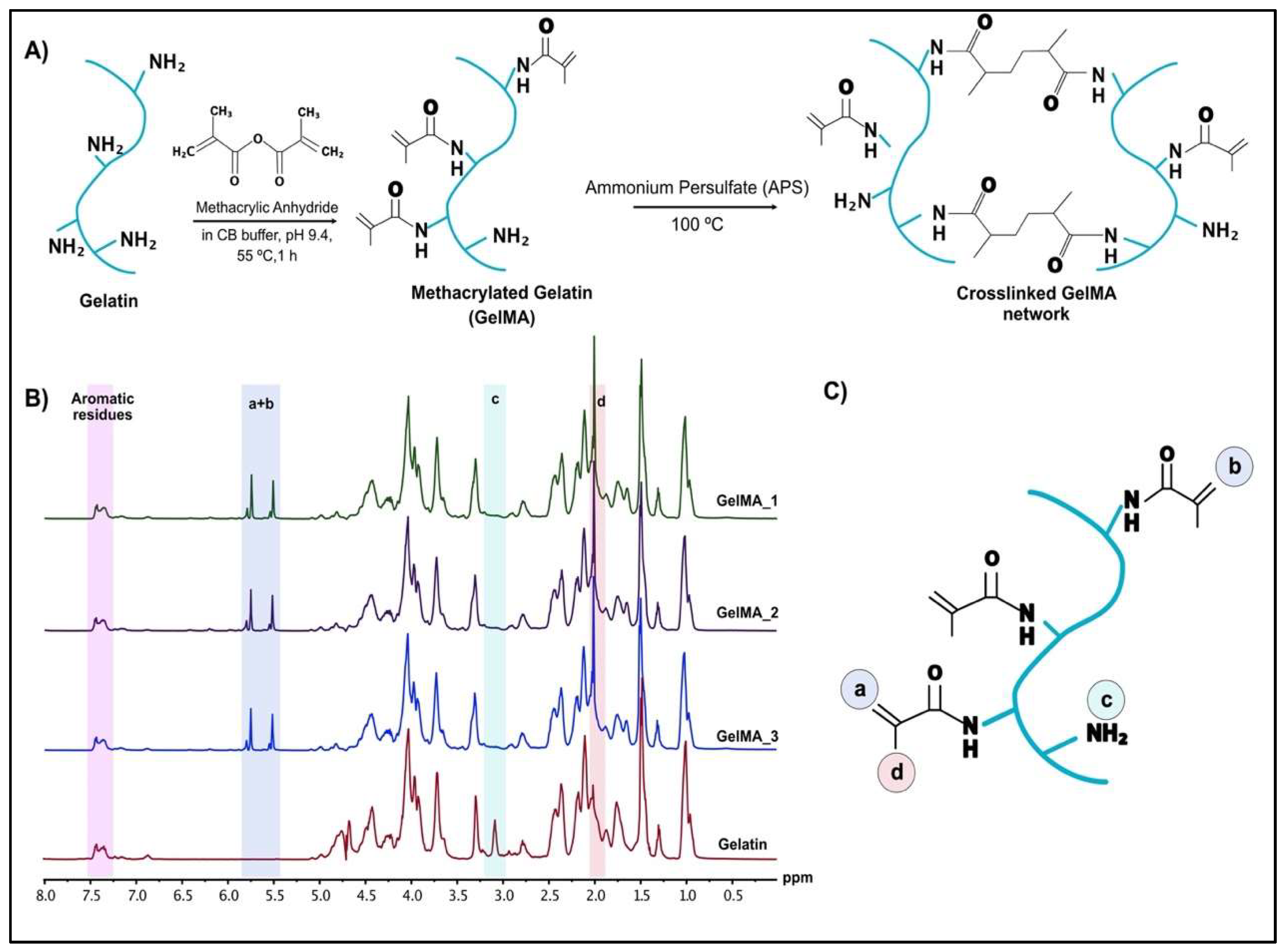 Bioengineering 09 00215 g002
