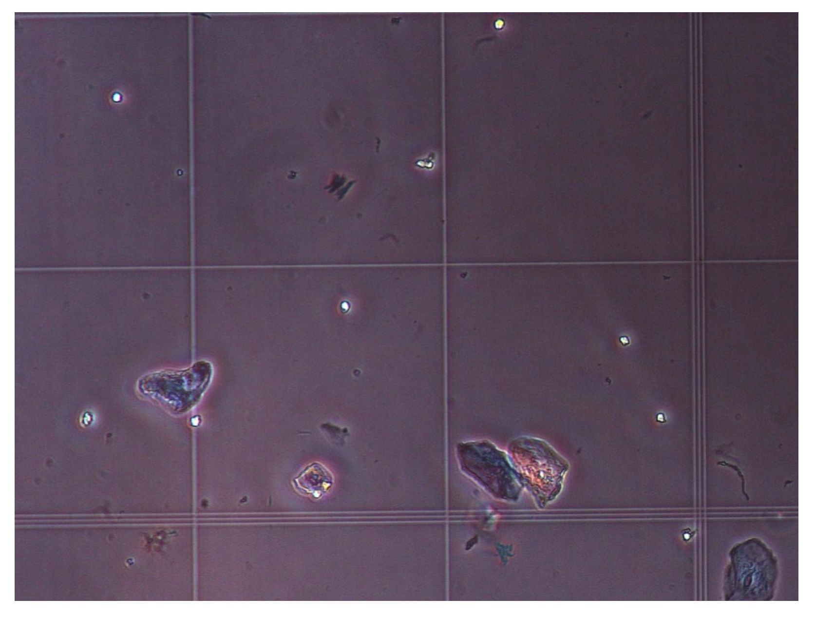 Bioengineering 09 00218 g007 Bioengineering 09 00218 g007