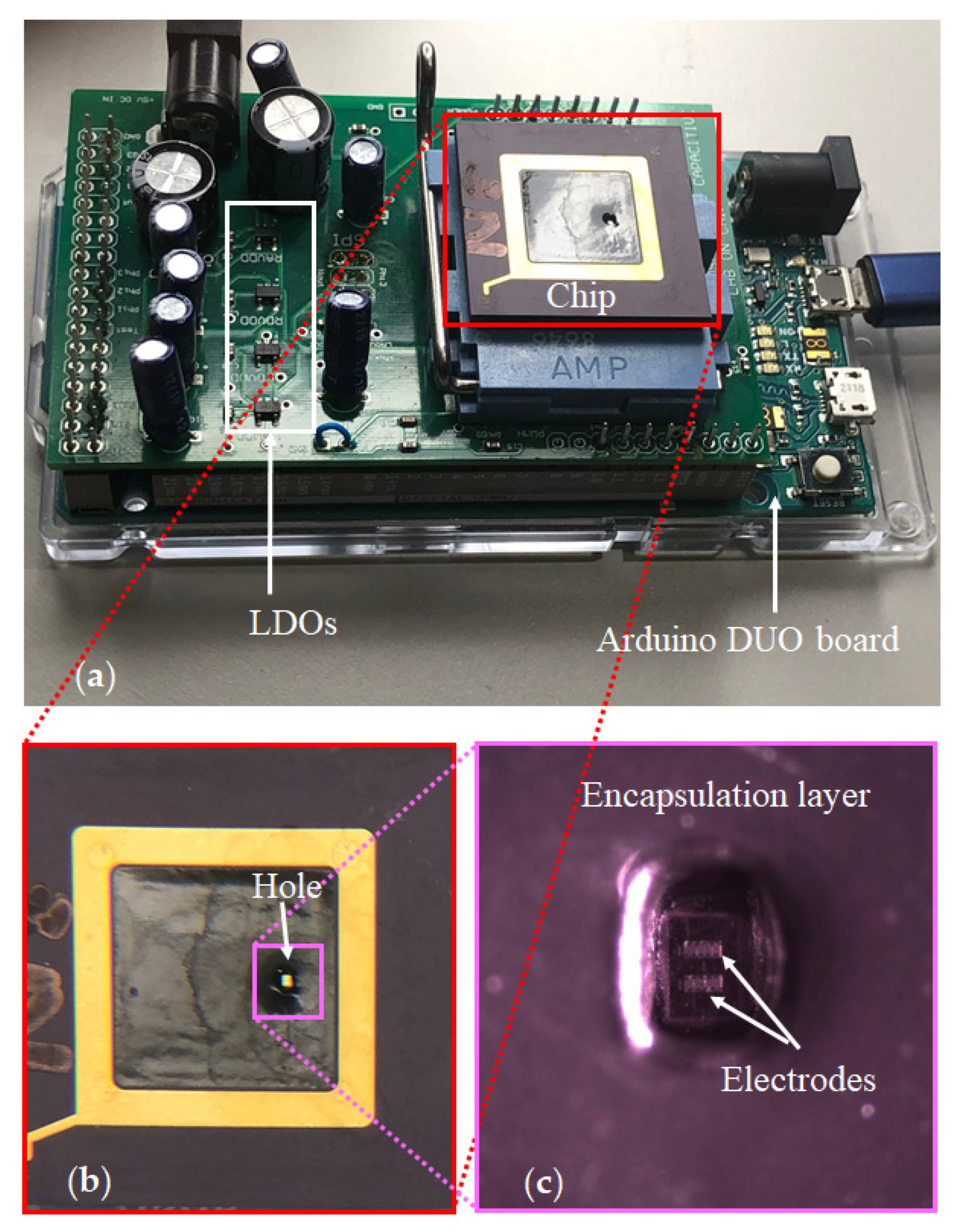 Bioengineering 09 00218 g009 Bioengineering 09 00218 g009