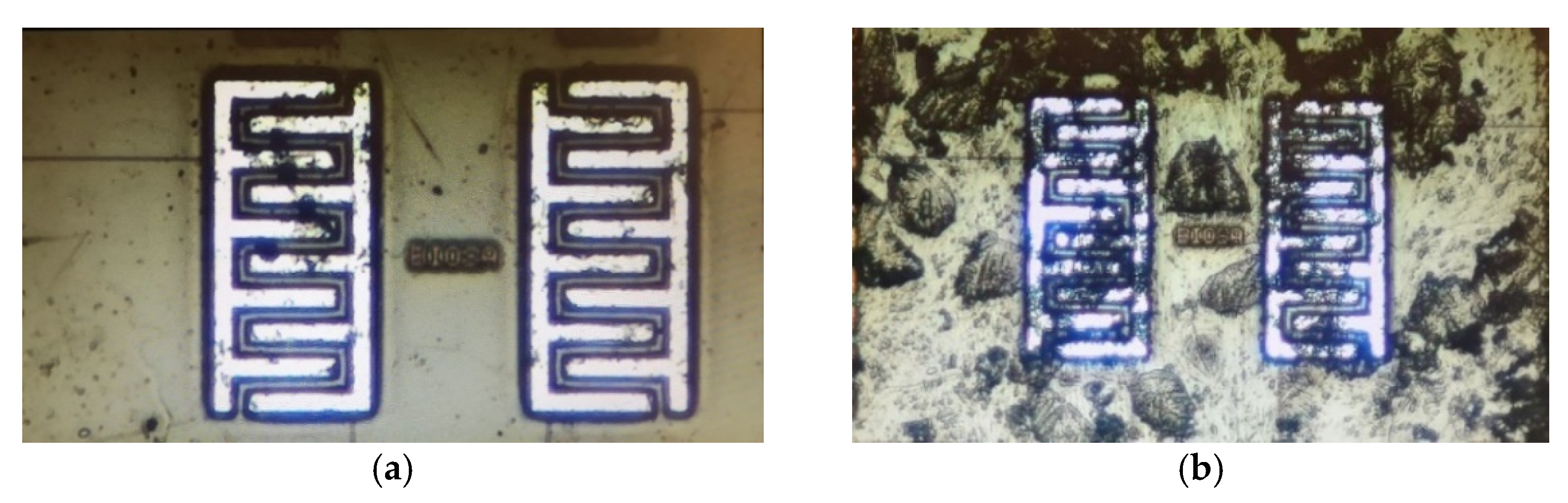 Bioengineering 09 00218 g019a Bioengineering 09 00218 g019a