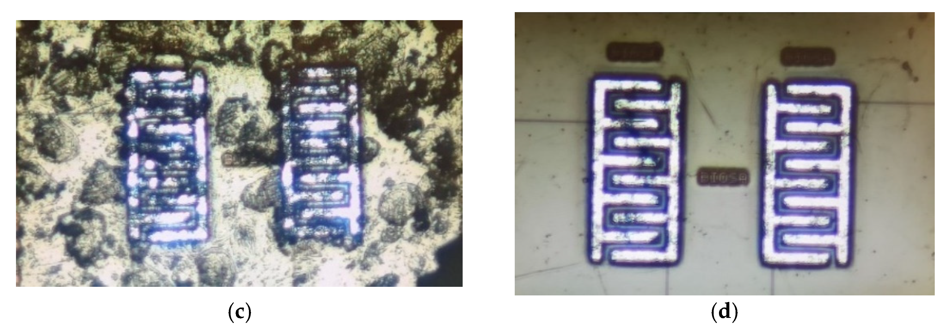 Bioengineering 09 00218 g019b Bioengineering 09 00218 g019b