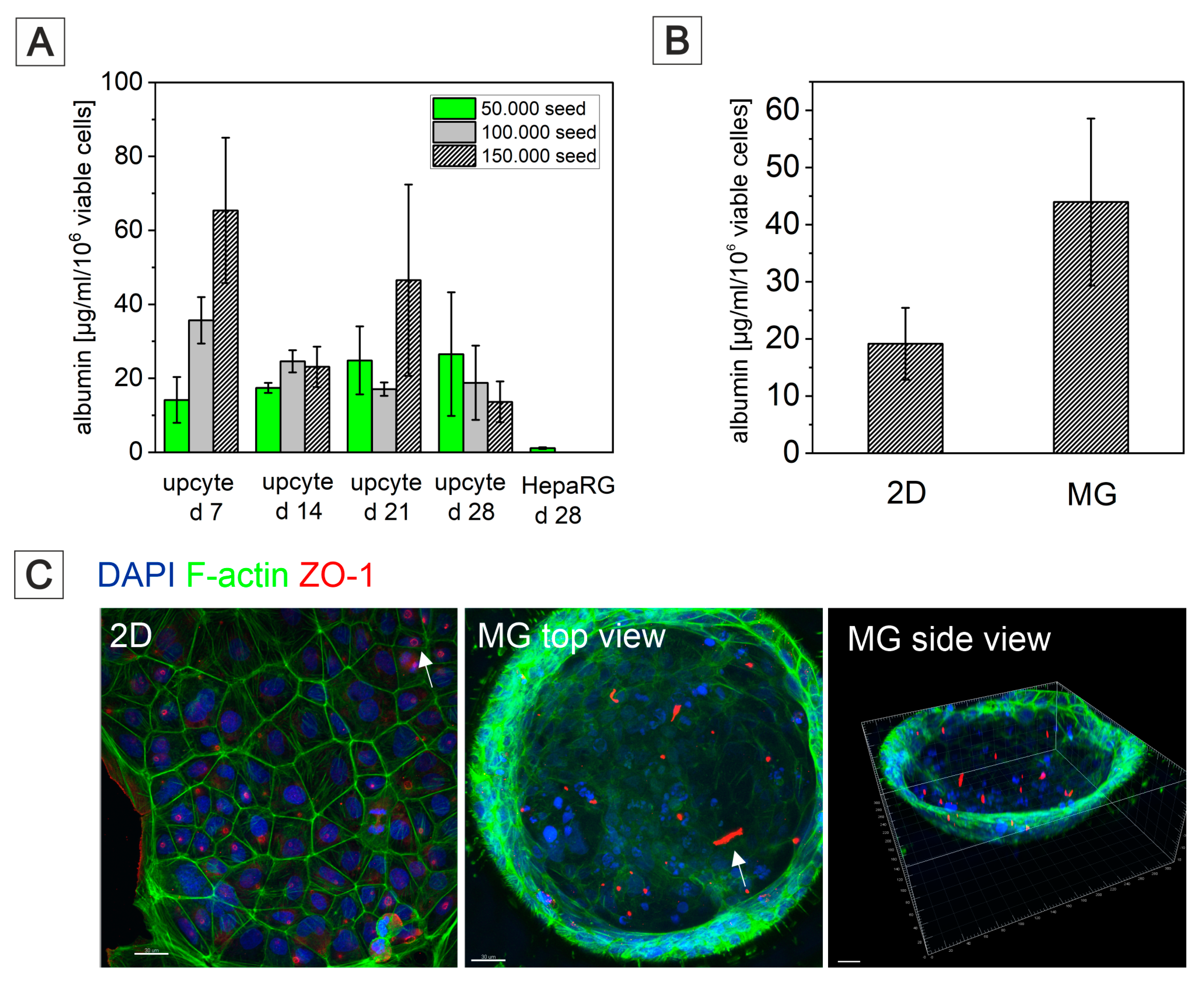 Bioengineering 09 00220 g011 Bioengineering 09 00220 g011