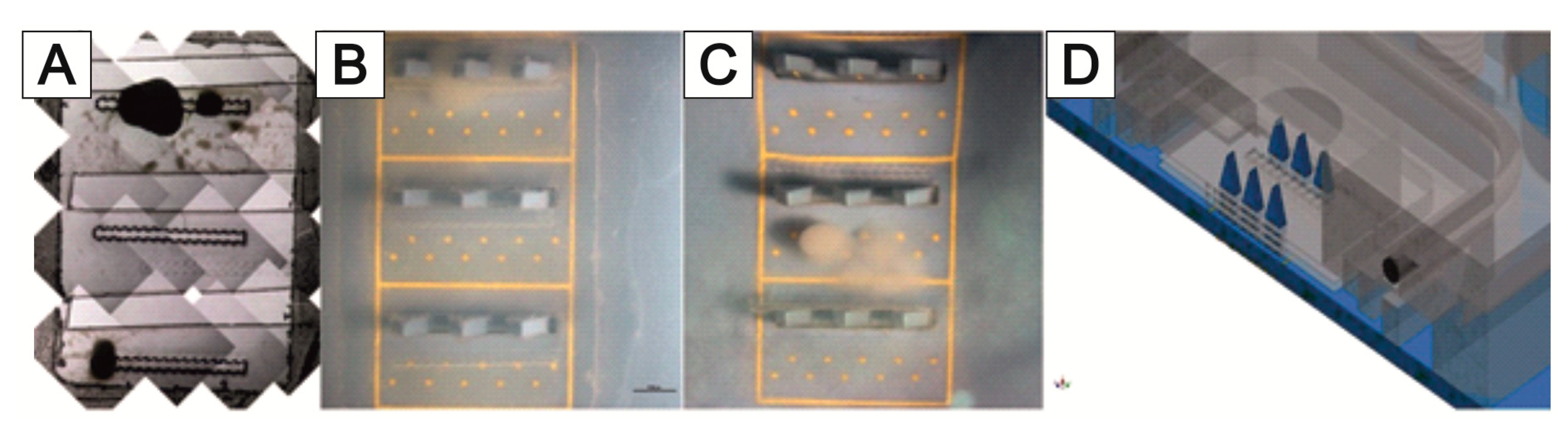 Bioengineering 09 00220 g018 Bioengineering 09 00220 g018