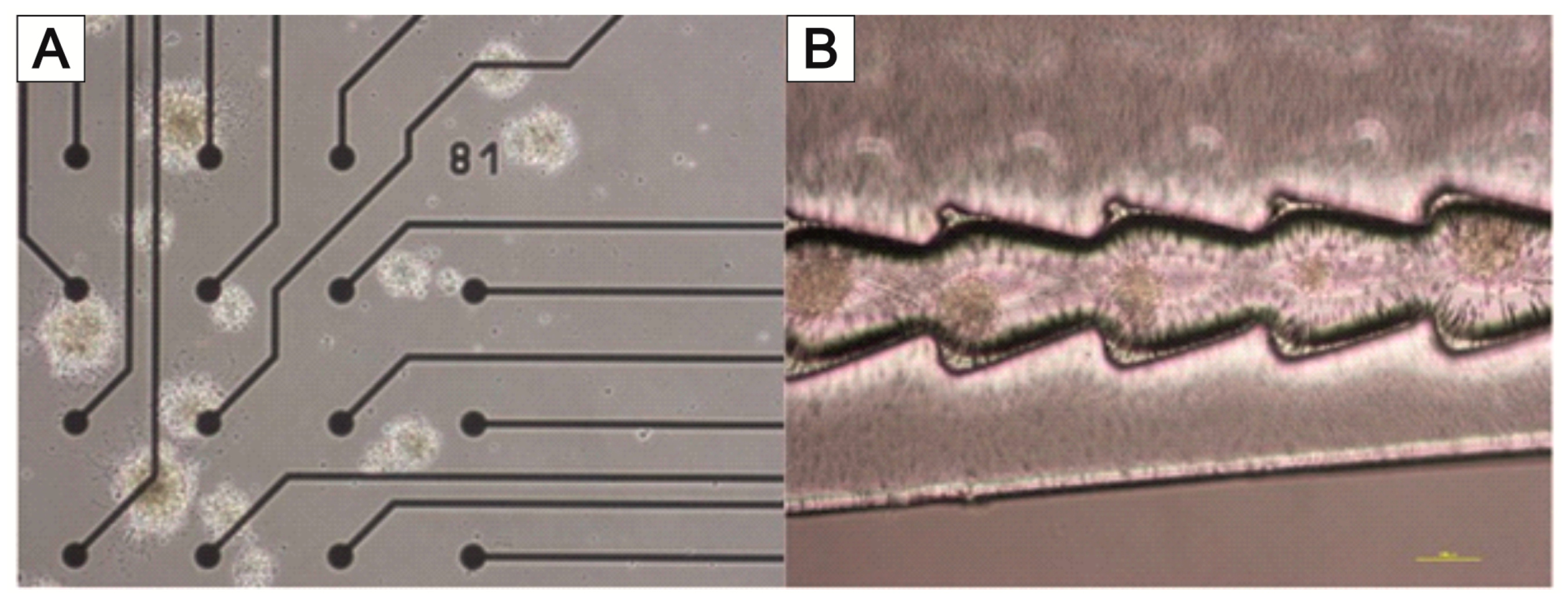 Bioengineering 09 00220 g020 Bioengineering 09 00220 g020