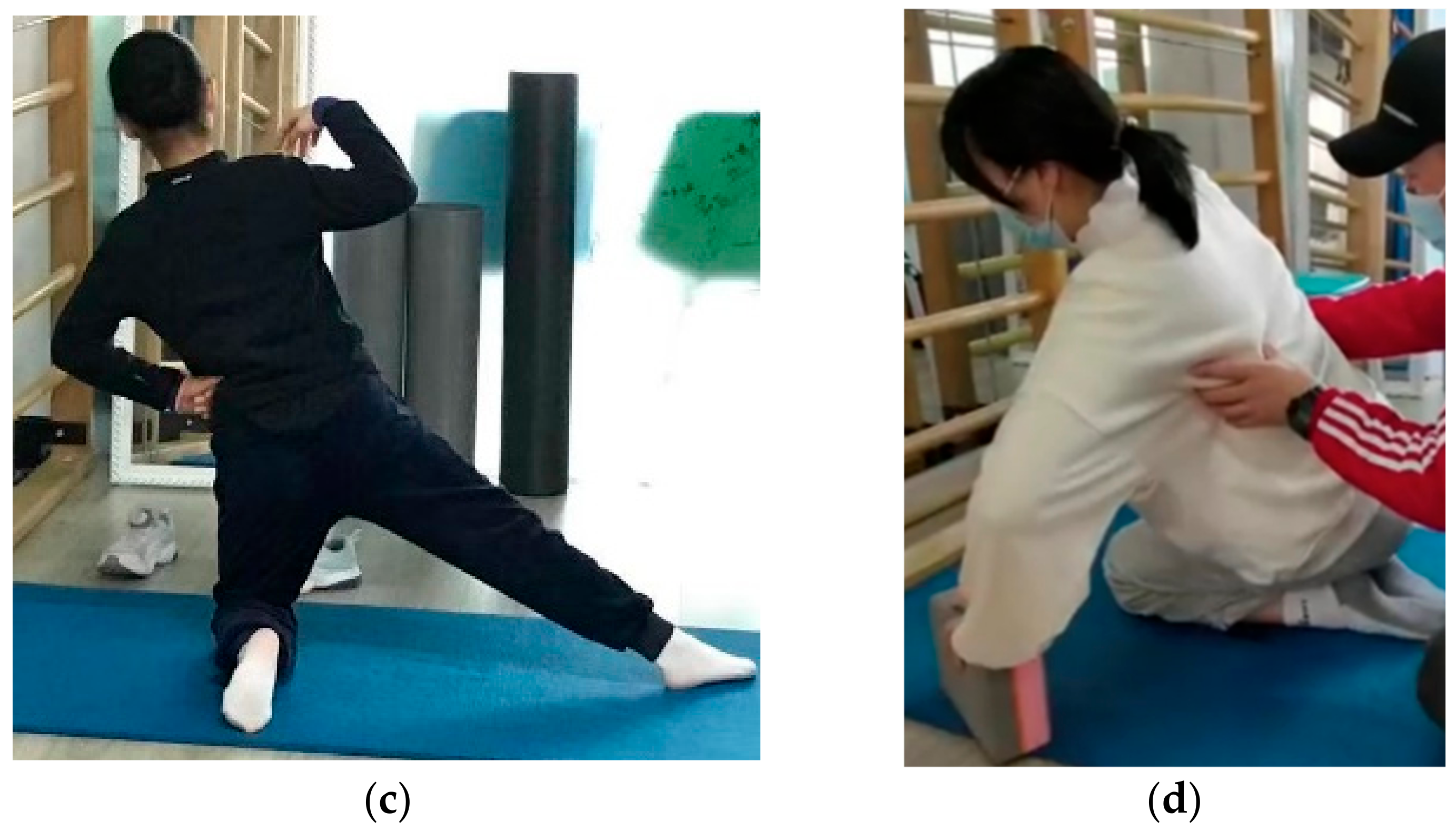 Bioengineering 09 00234 g001b