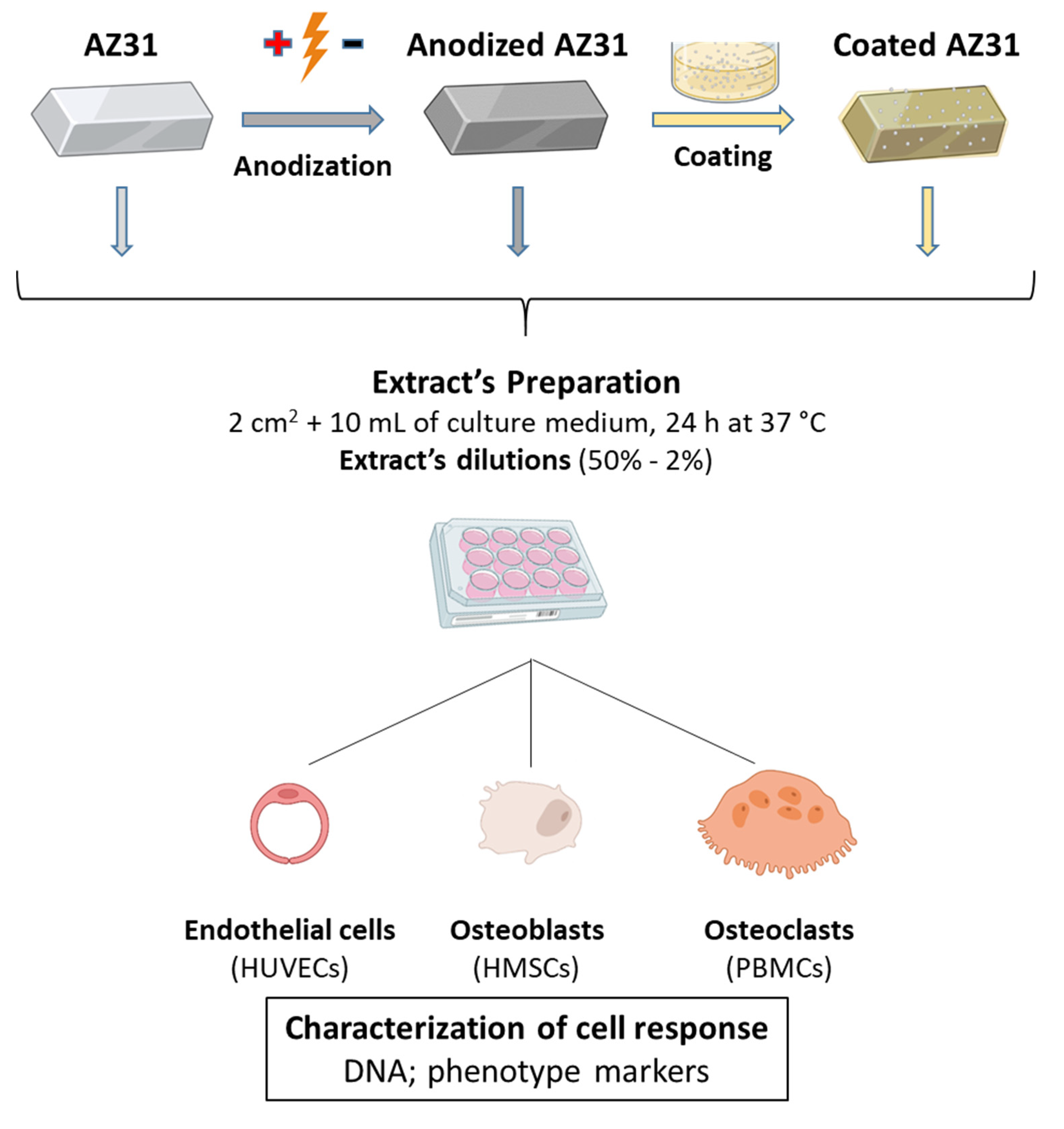 Bioengineering 09 00255 g001