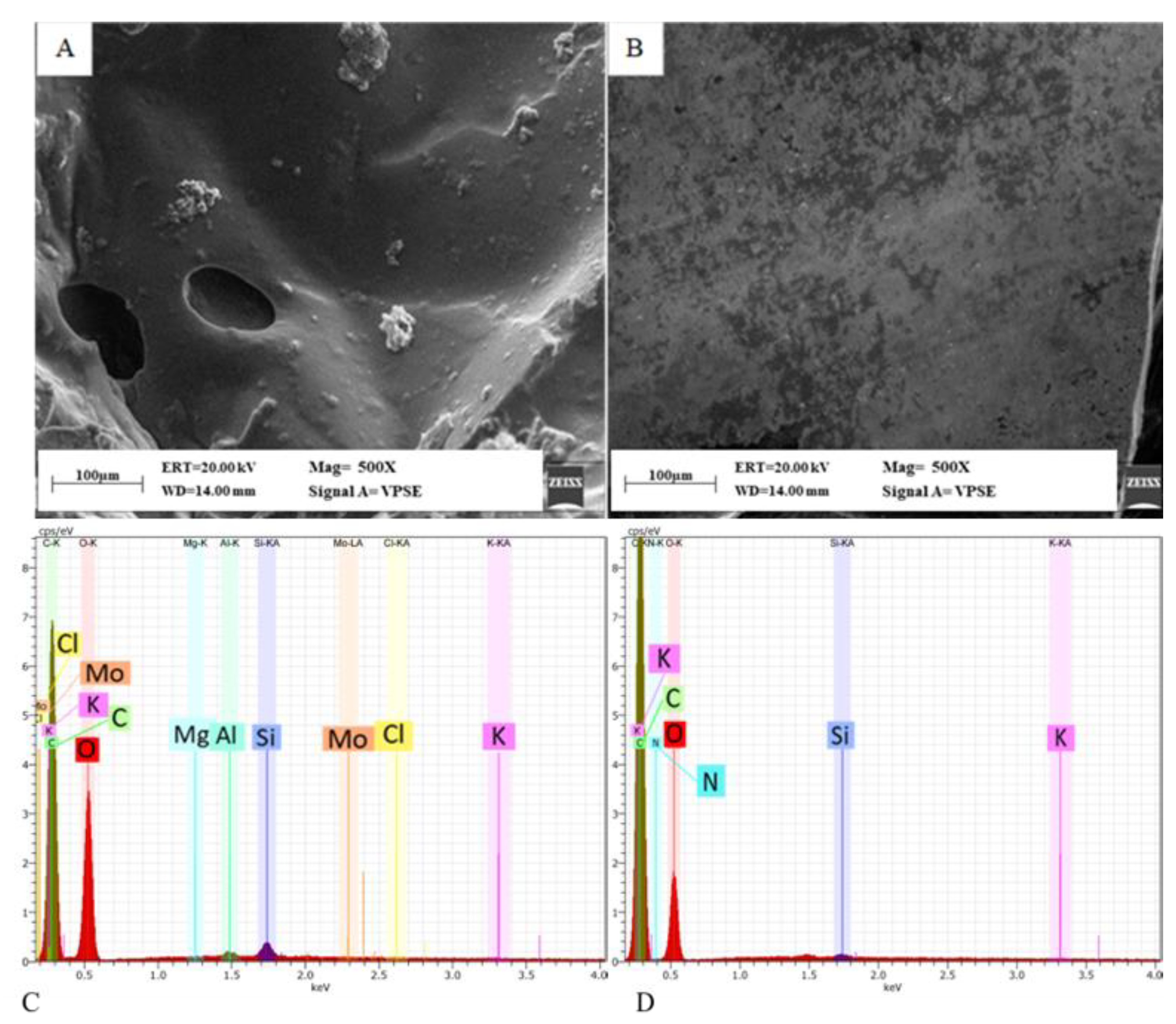Bioengineering 09 00267 g008 Bioengineering 09 00267 g008