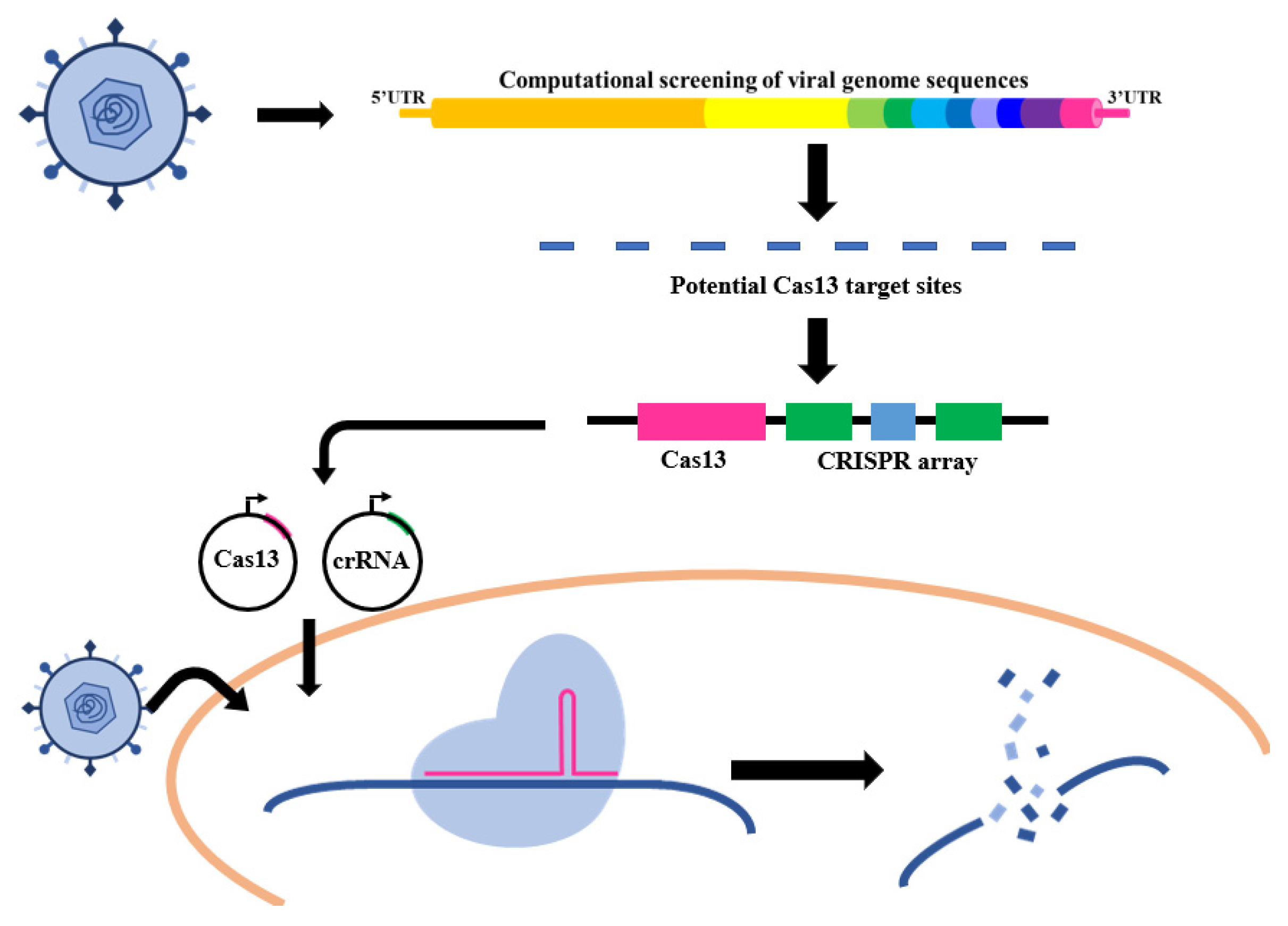 Bioengineering 09 00291 g004