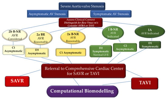 Aaron Boone - Aortic Valve Repair & Aortic Root Replacement Surgery