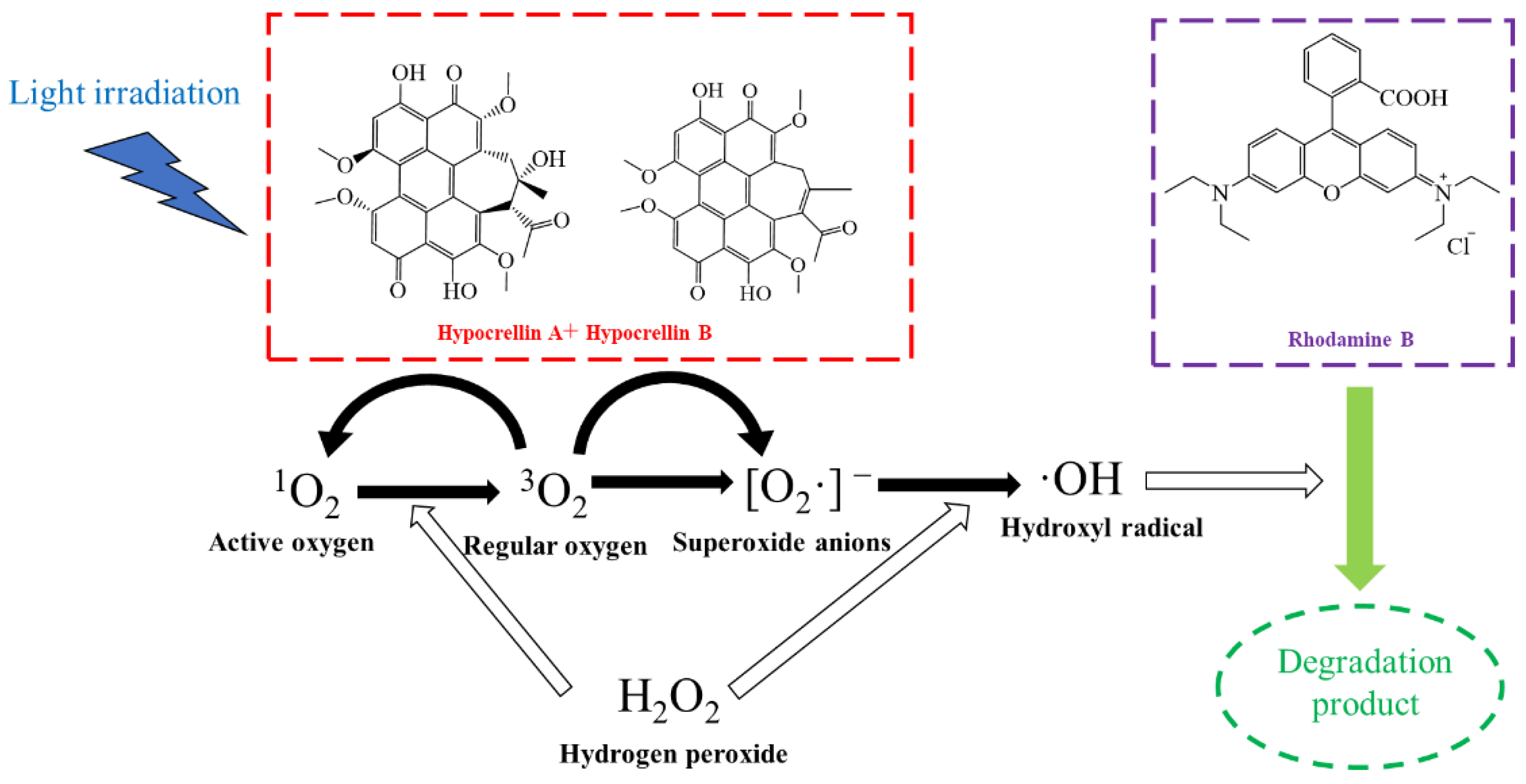 Bioengineering 09 00307 g001