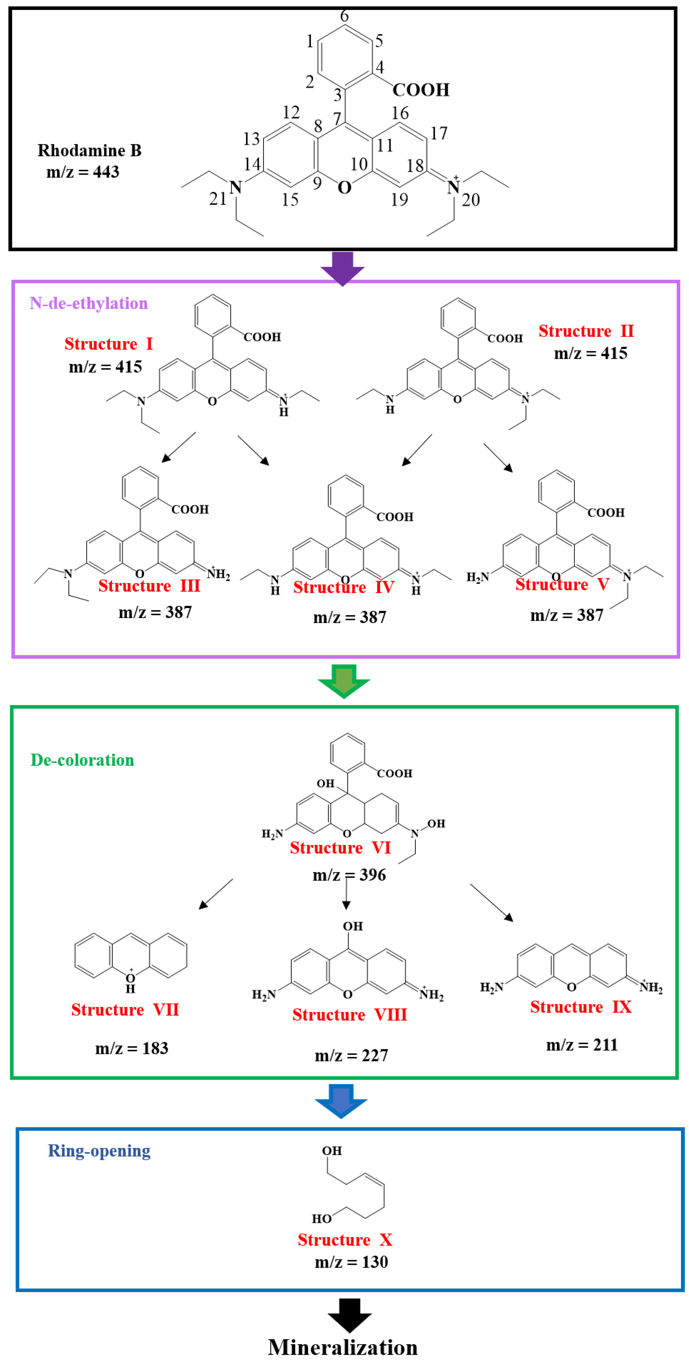Bioengineering 09 00307 g006